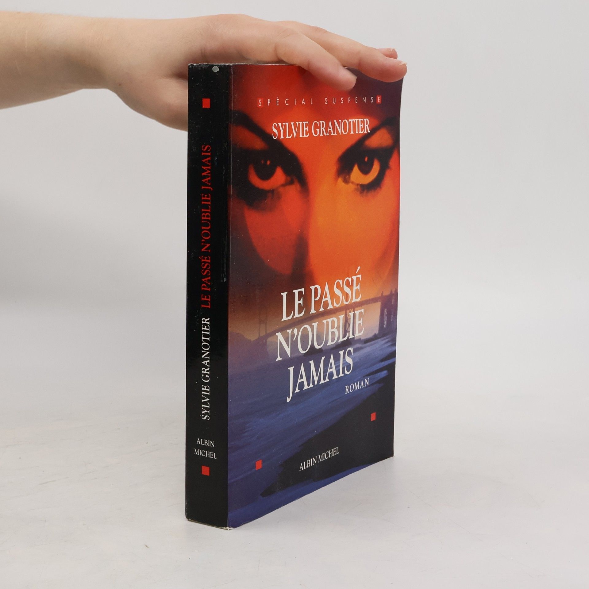 Sylvie Granotier Le passé n'oublie jamais