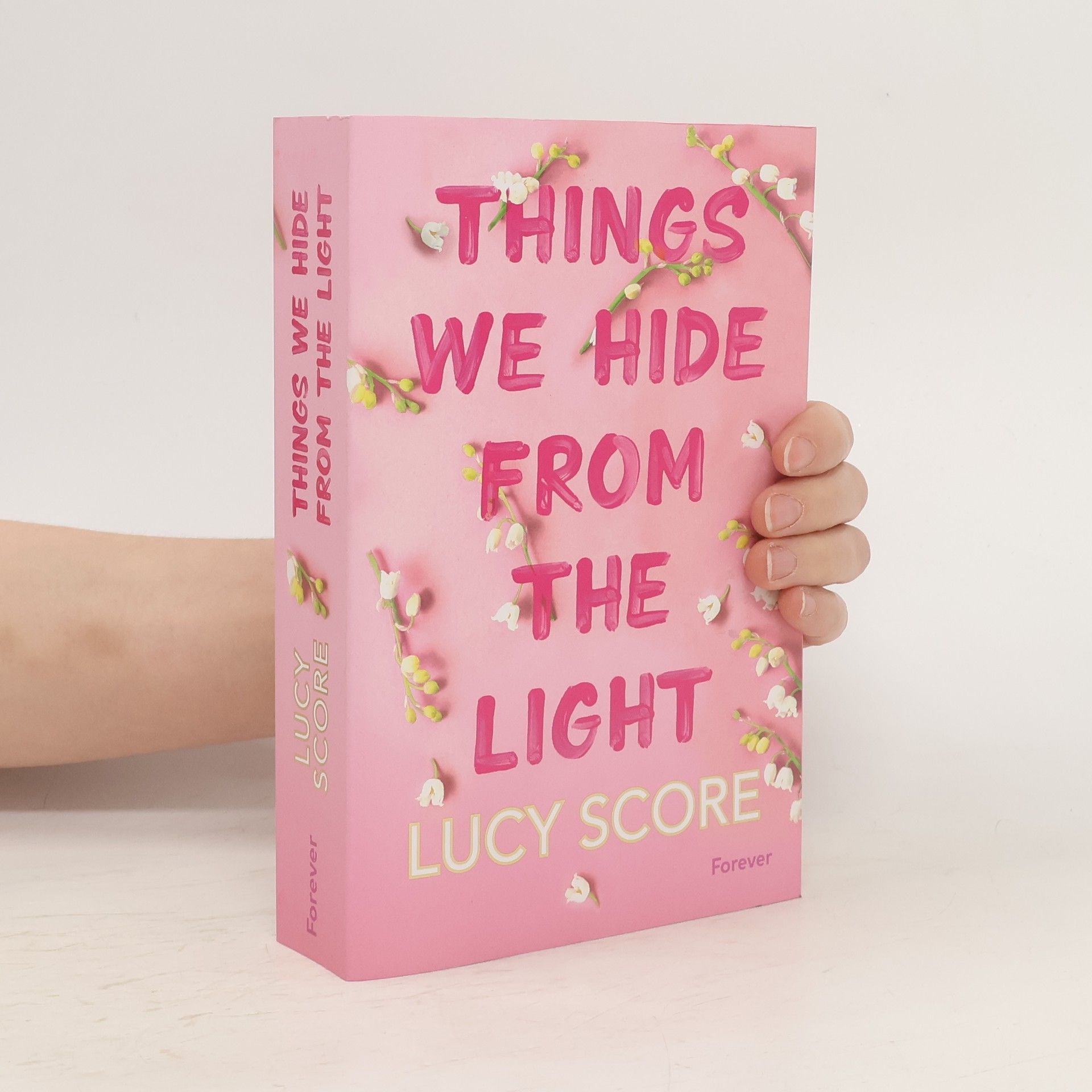 Lucy Score Things We Hide From The Light (Knockemout 2)