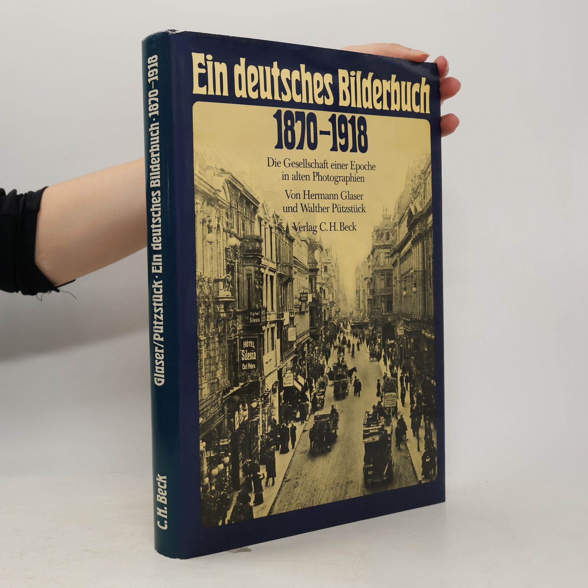 Hermann Glaser Ein deutsches Bilderbuch 1870 - 1918