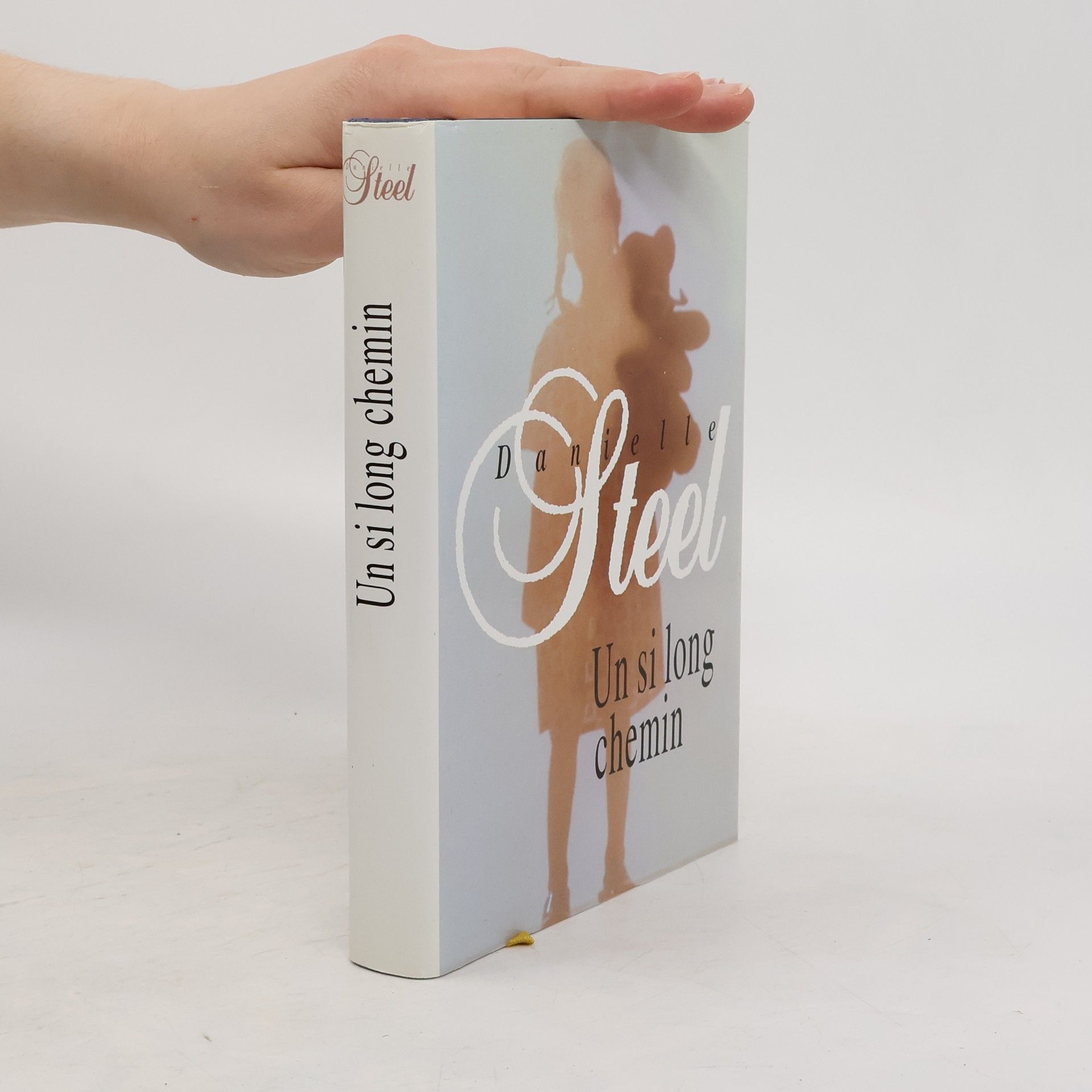 Danielle Steel Un si long chemin