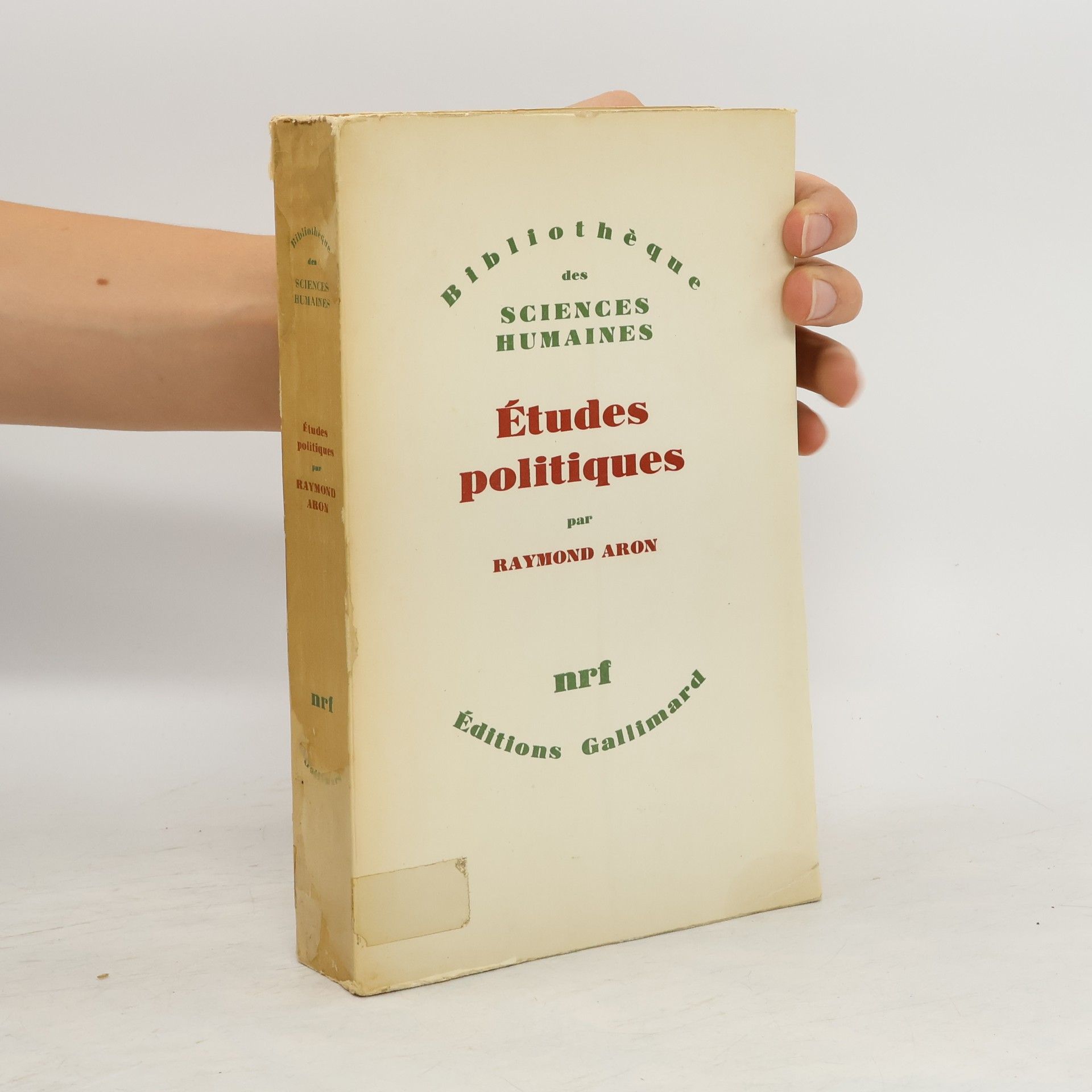 Raymond Aron Études politiques
