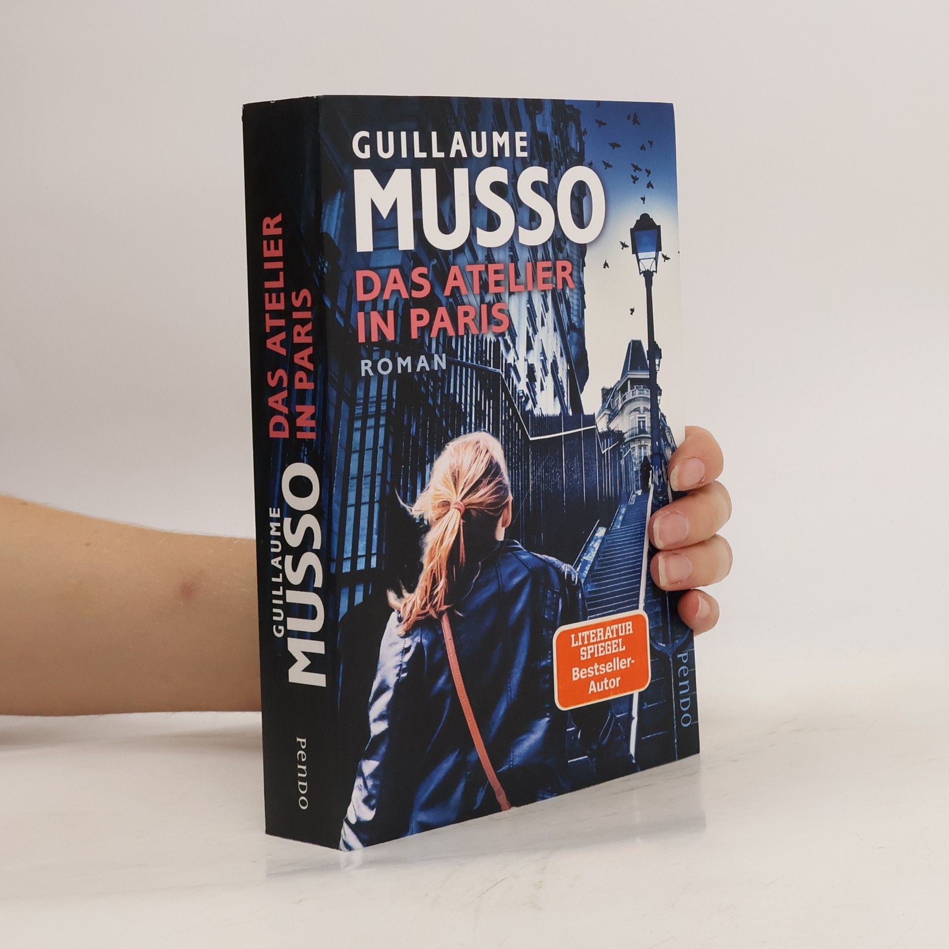 Guillaume Musso Das Atelier in Paris