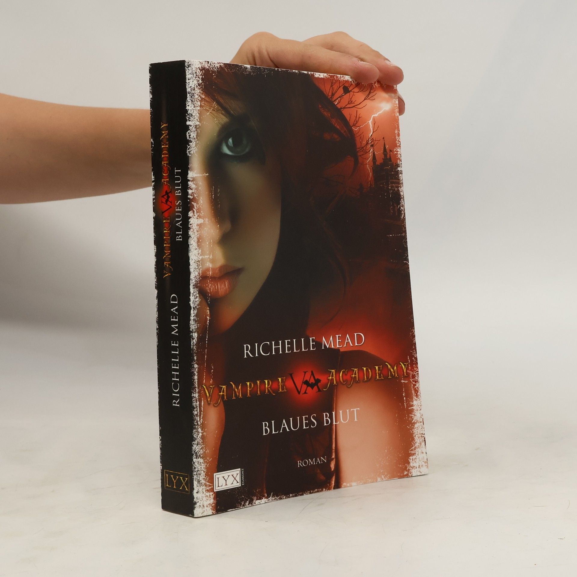 Richelle Mead Vampire Academy. Blaues Blut