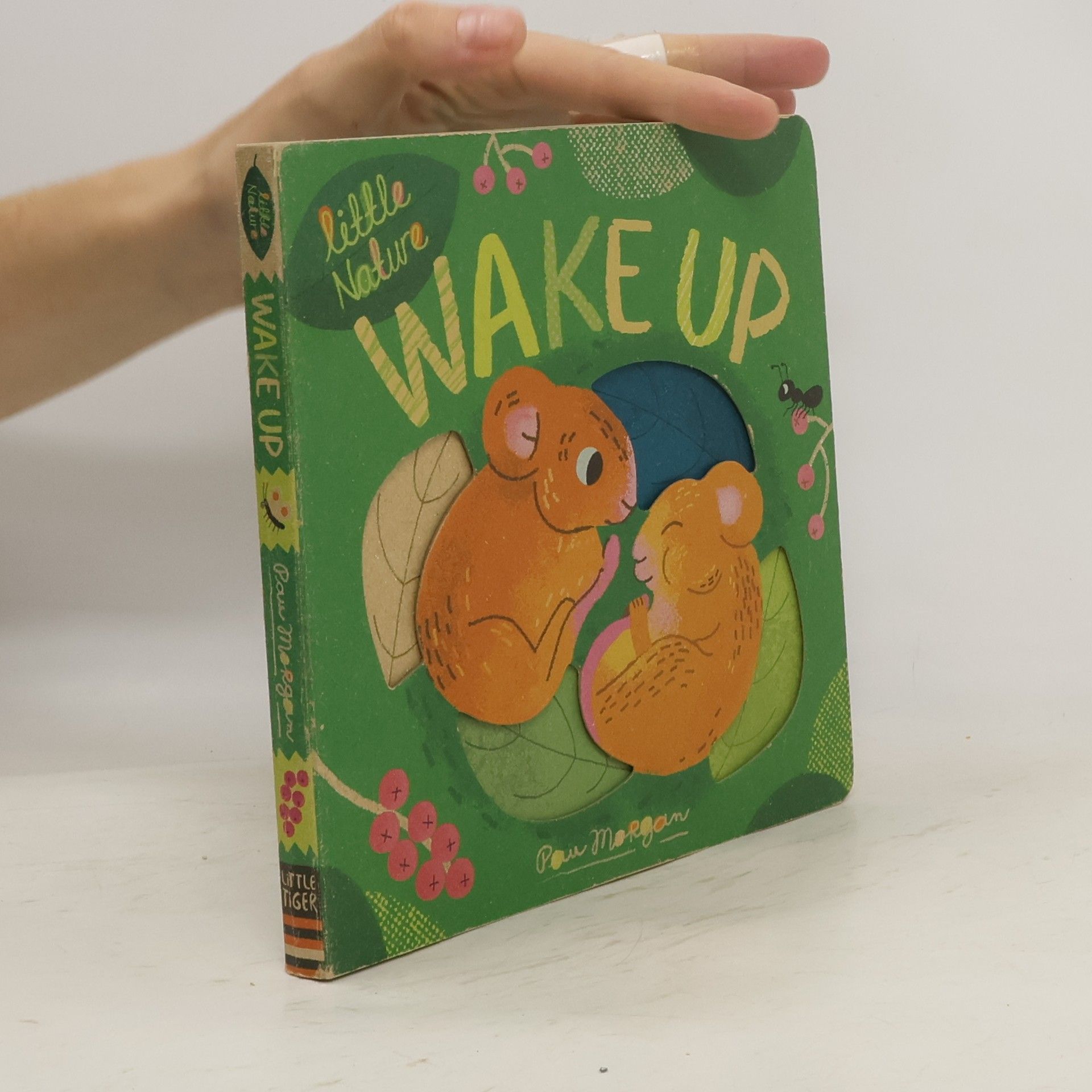 Isabel Otter Wake Up