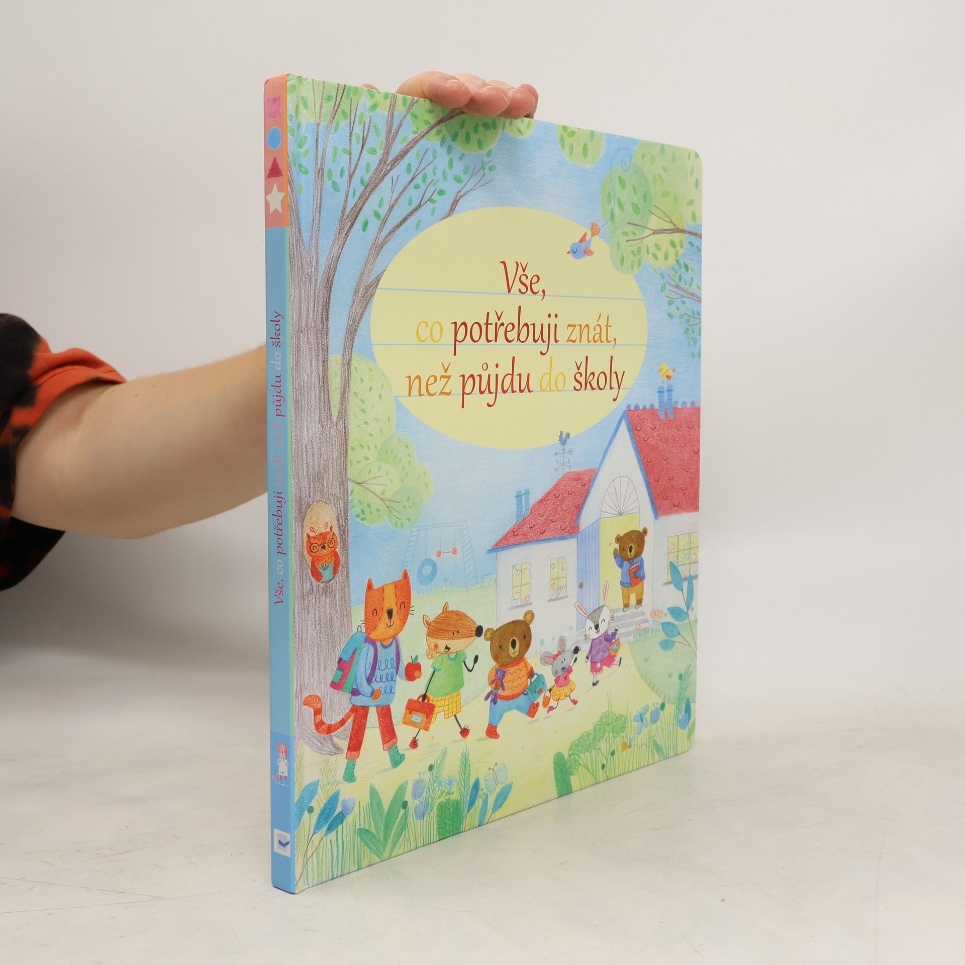Felicity Brooks Vše, co potřebuji znát, než půjdu do školy