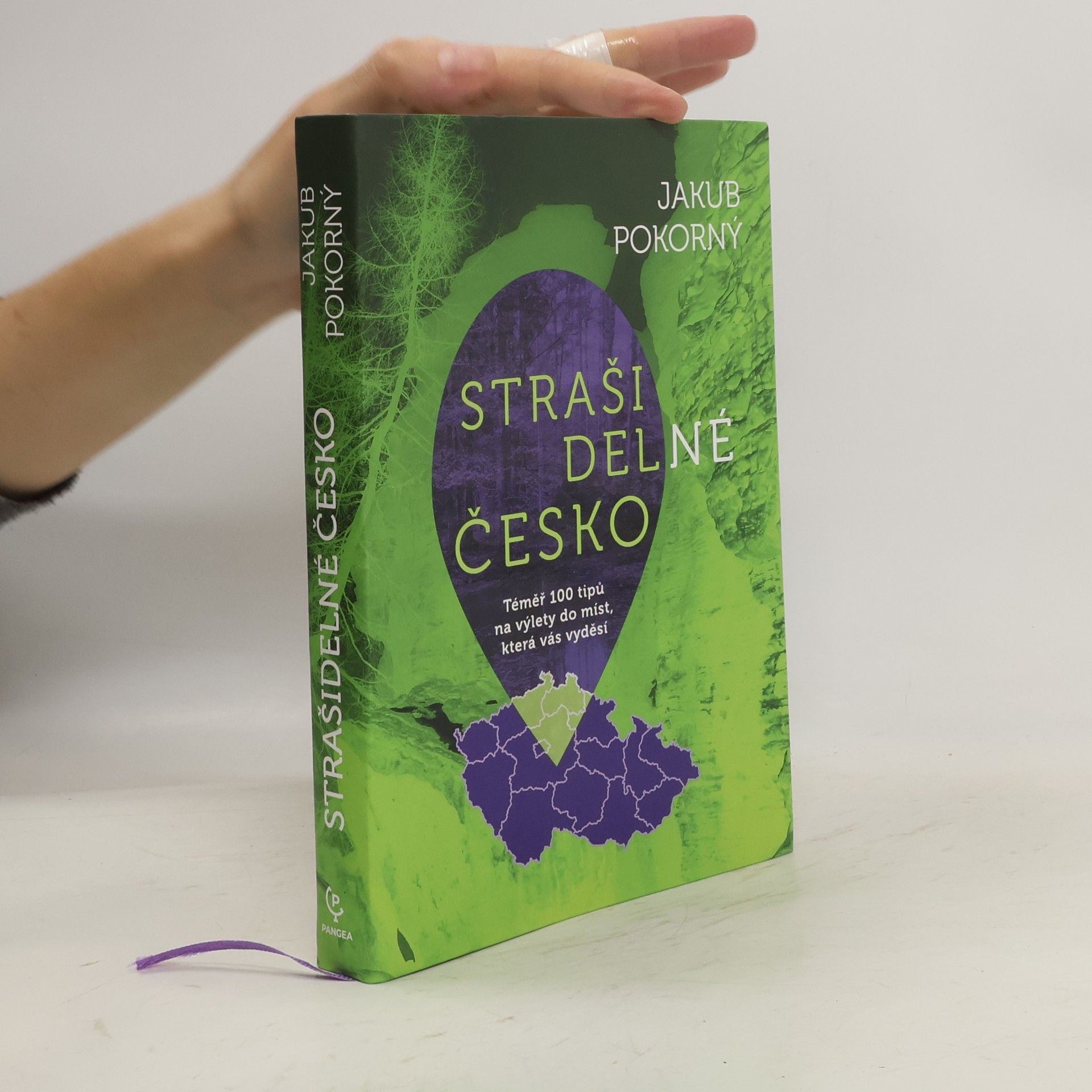 Jakub Hugo Pokorný Strašidelné Česko. téměř 100 tipů na výlety do míst, která vás vyděsí