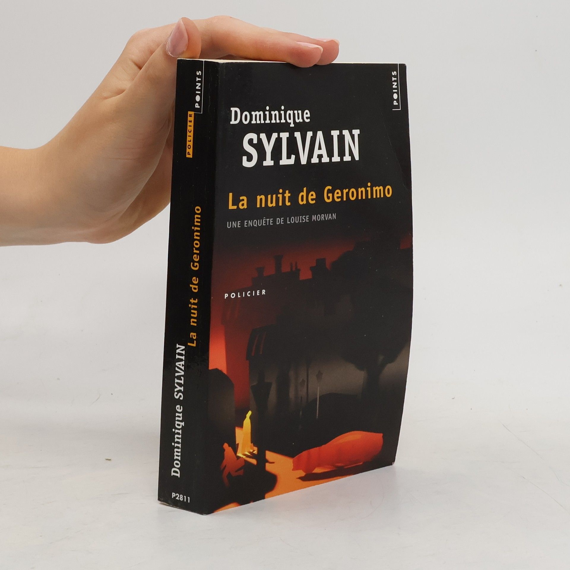 Dominique Sylvain La nuit de Géronimo