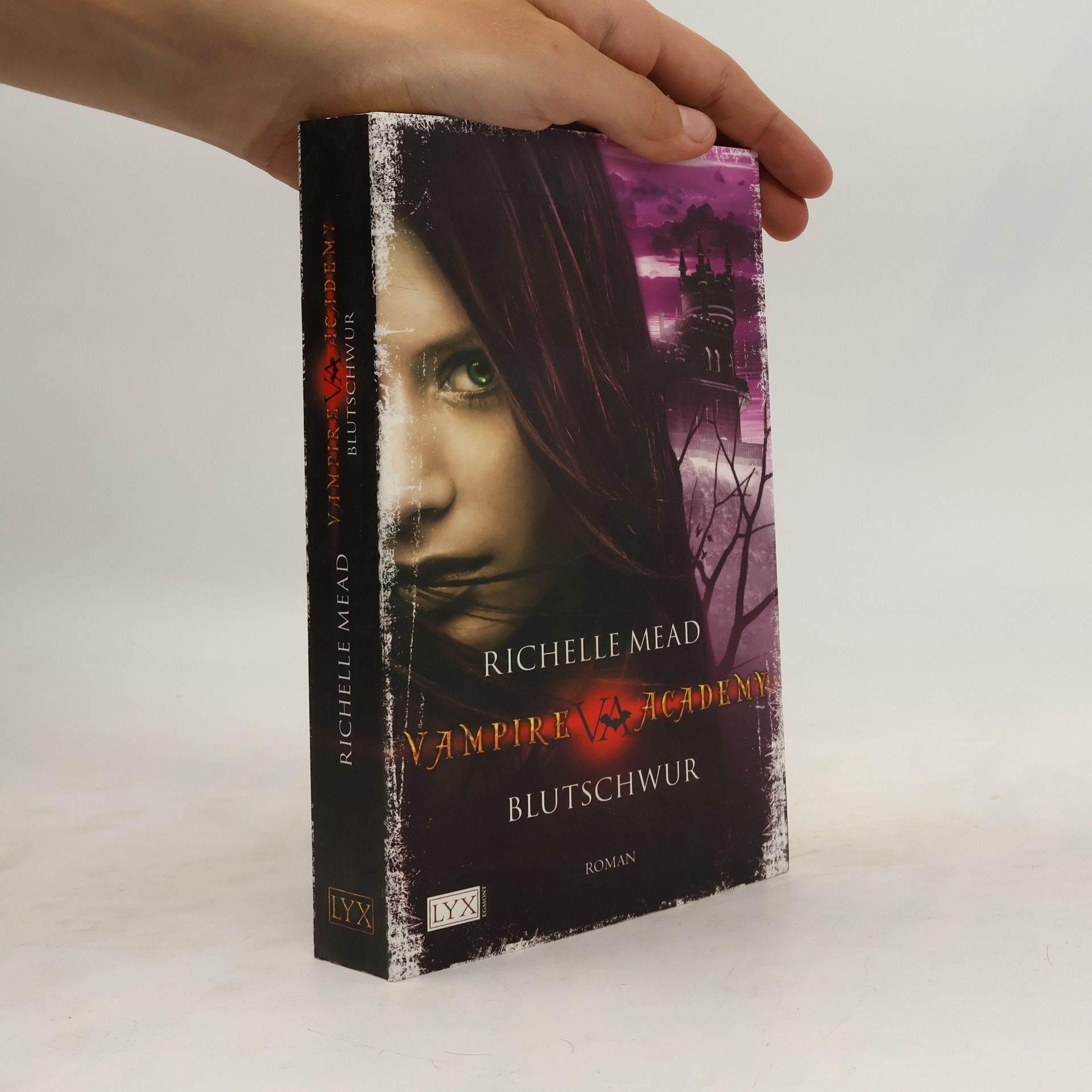 Vampire Academy. Blutschwur