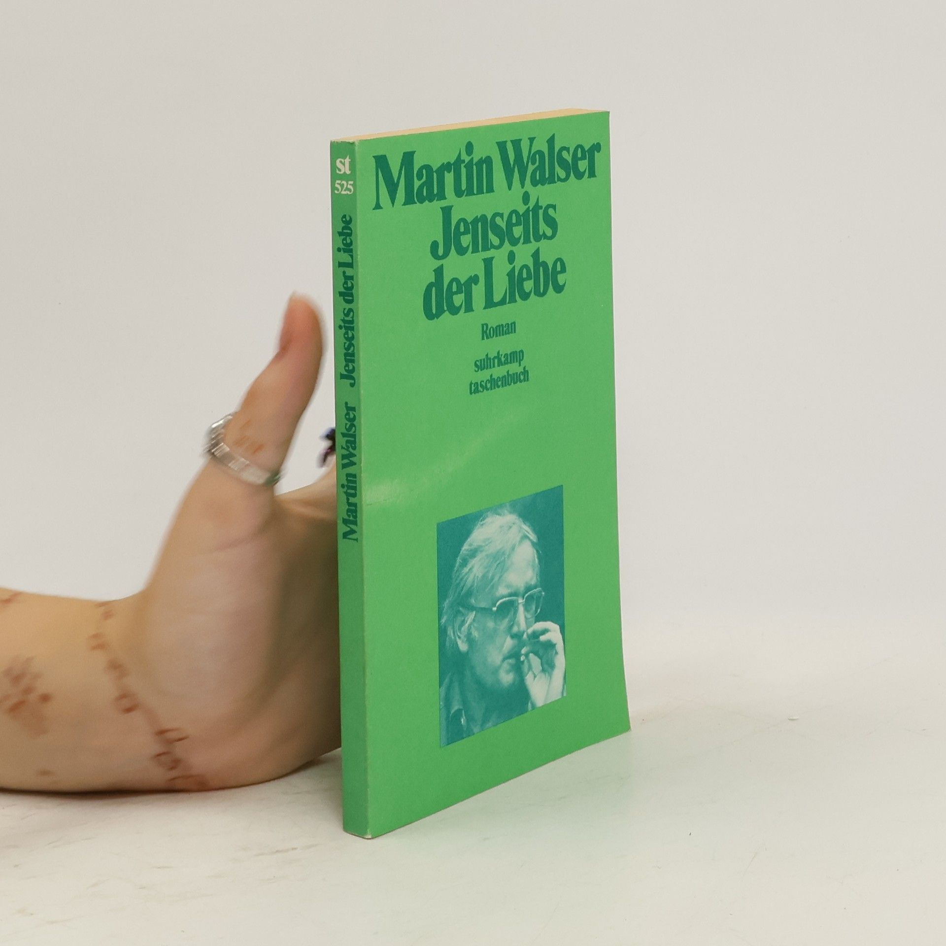 Martin Walser Jenseits der Liebe
