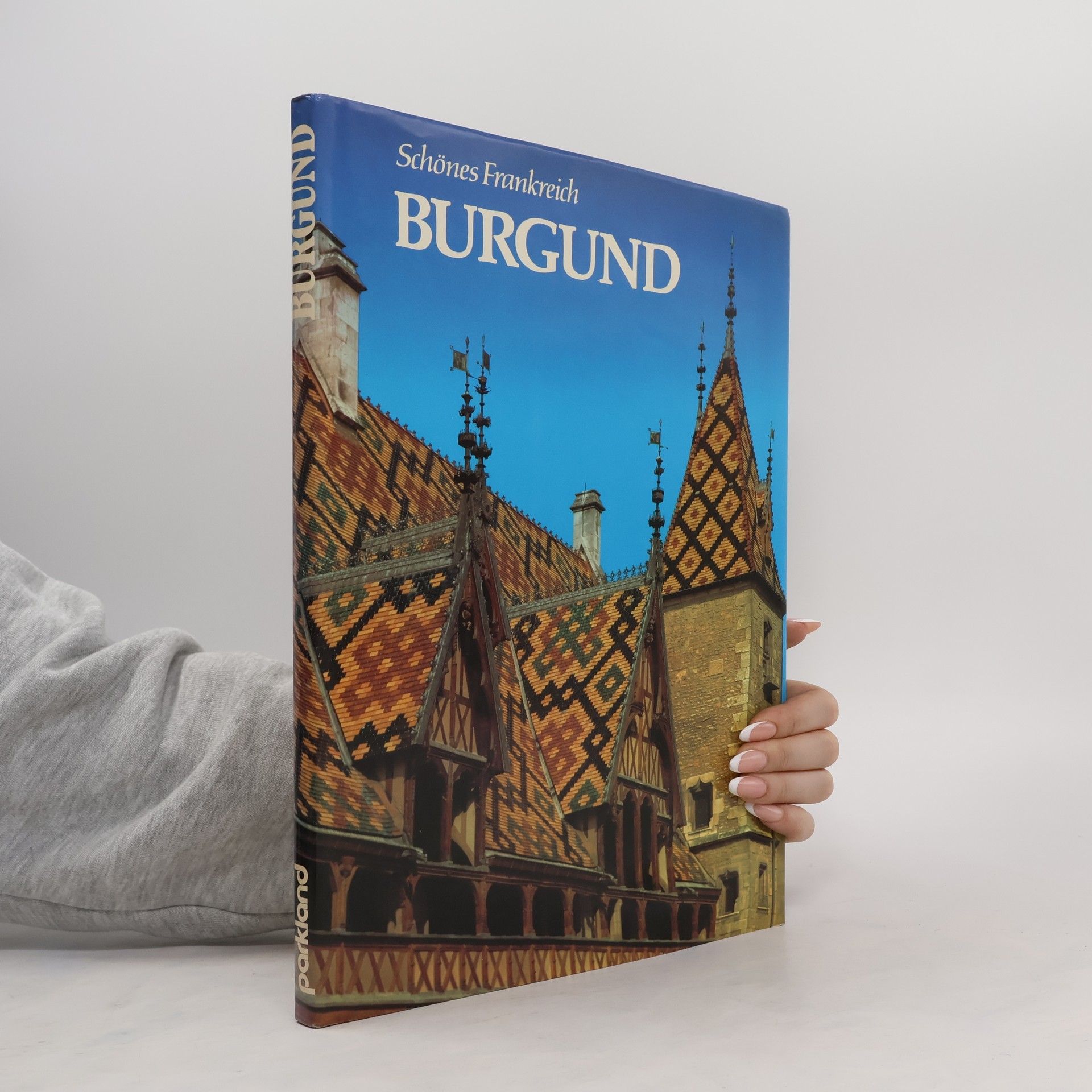 Pierre Alain Burgund