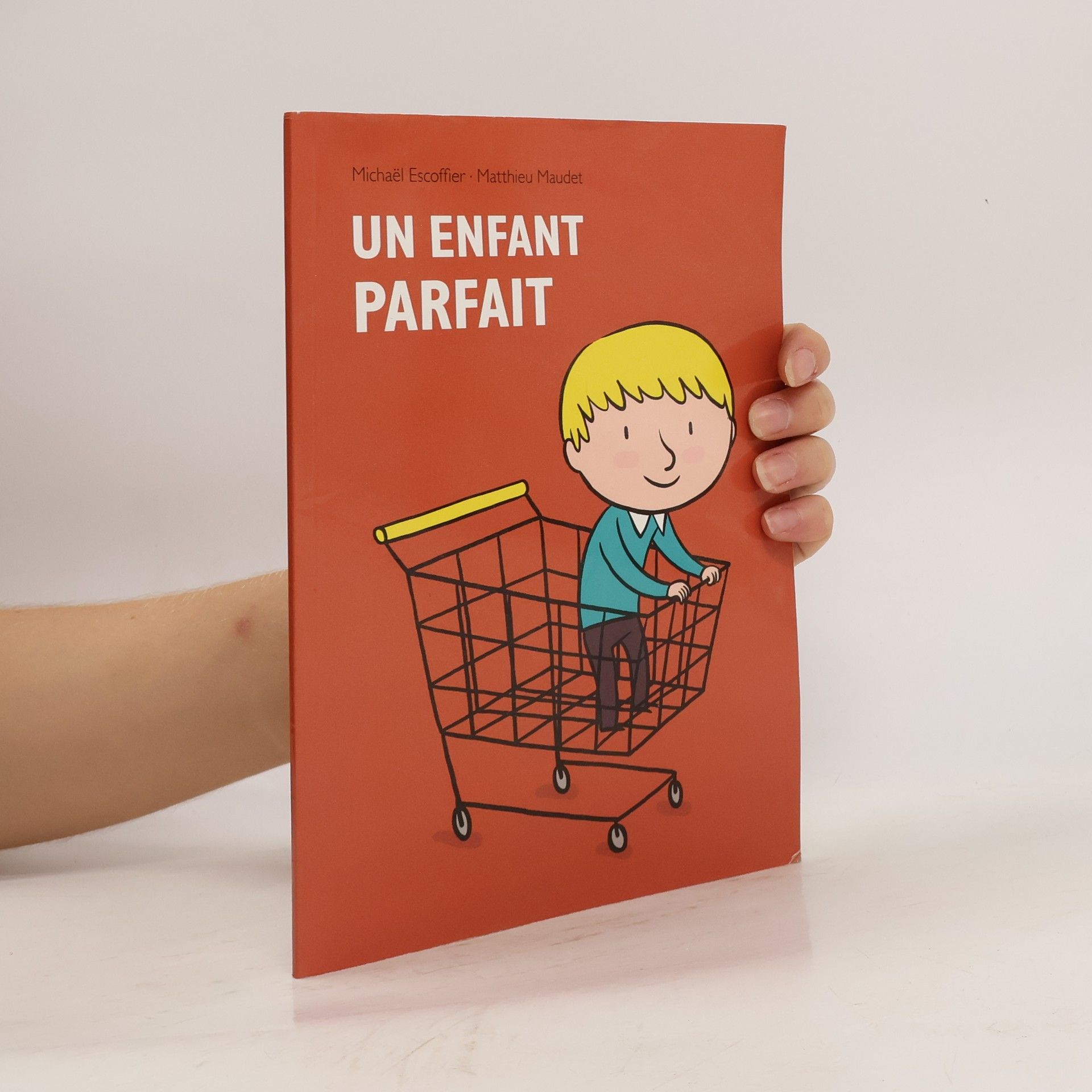 Matthieu Maudet Un enfant parfait