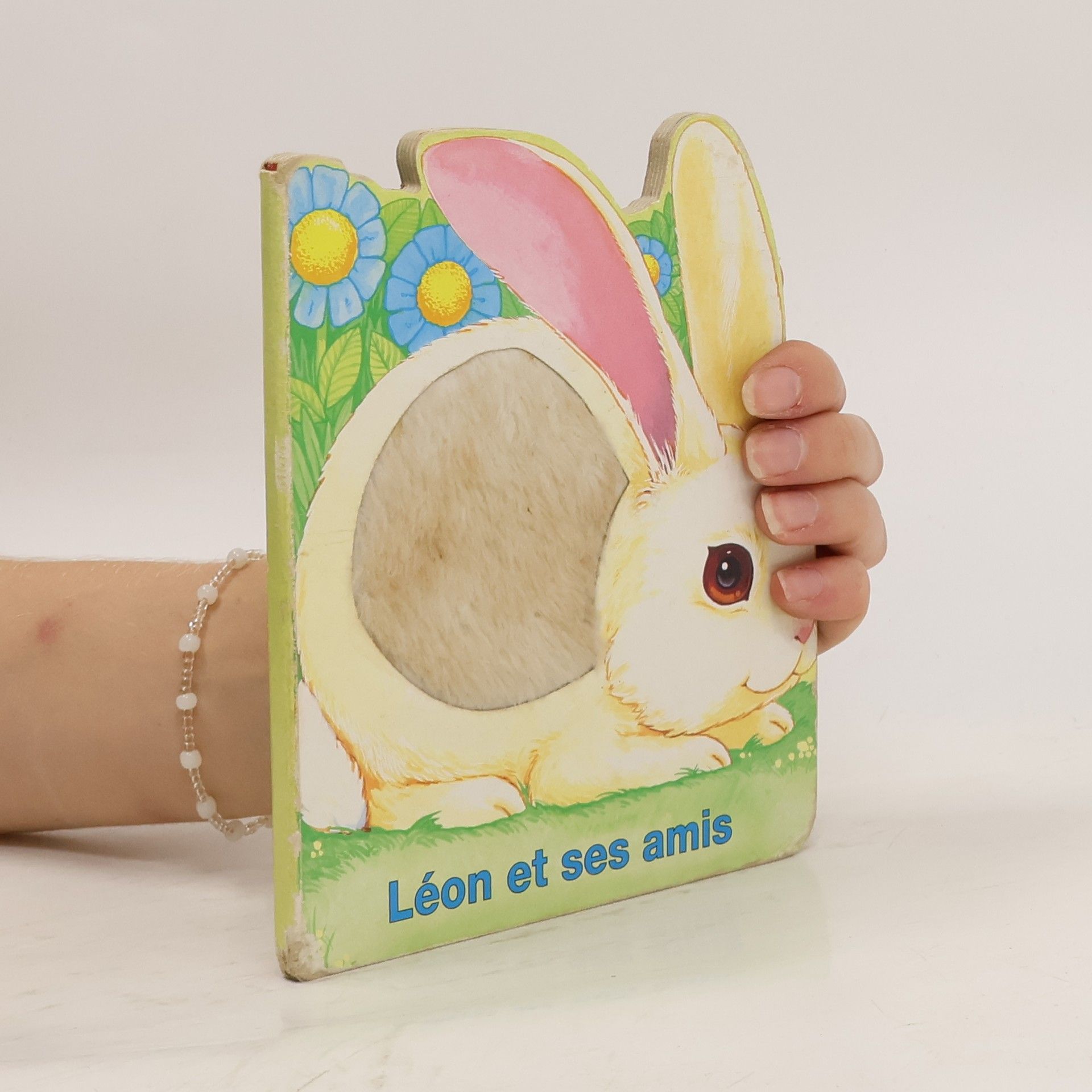 Collectif d'auteurs Léon et ses amis