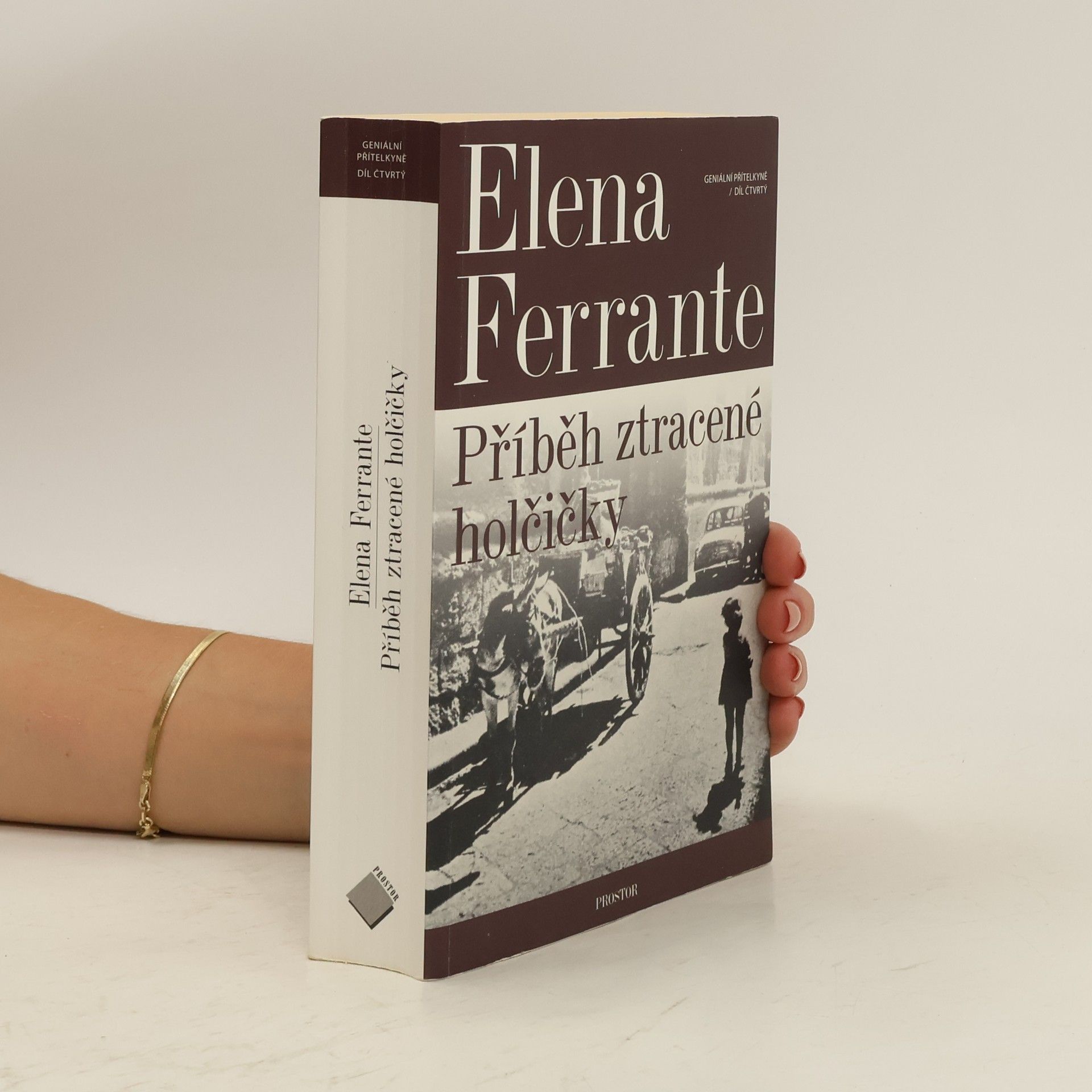 Elena Ferrante Příběh ztracené holčičky. Geniální přítelkyně. 4. díl