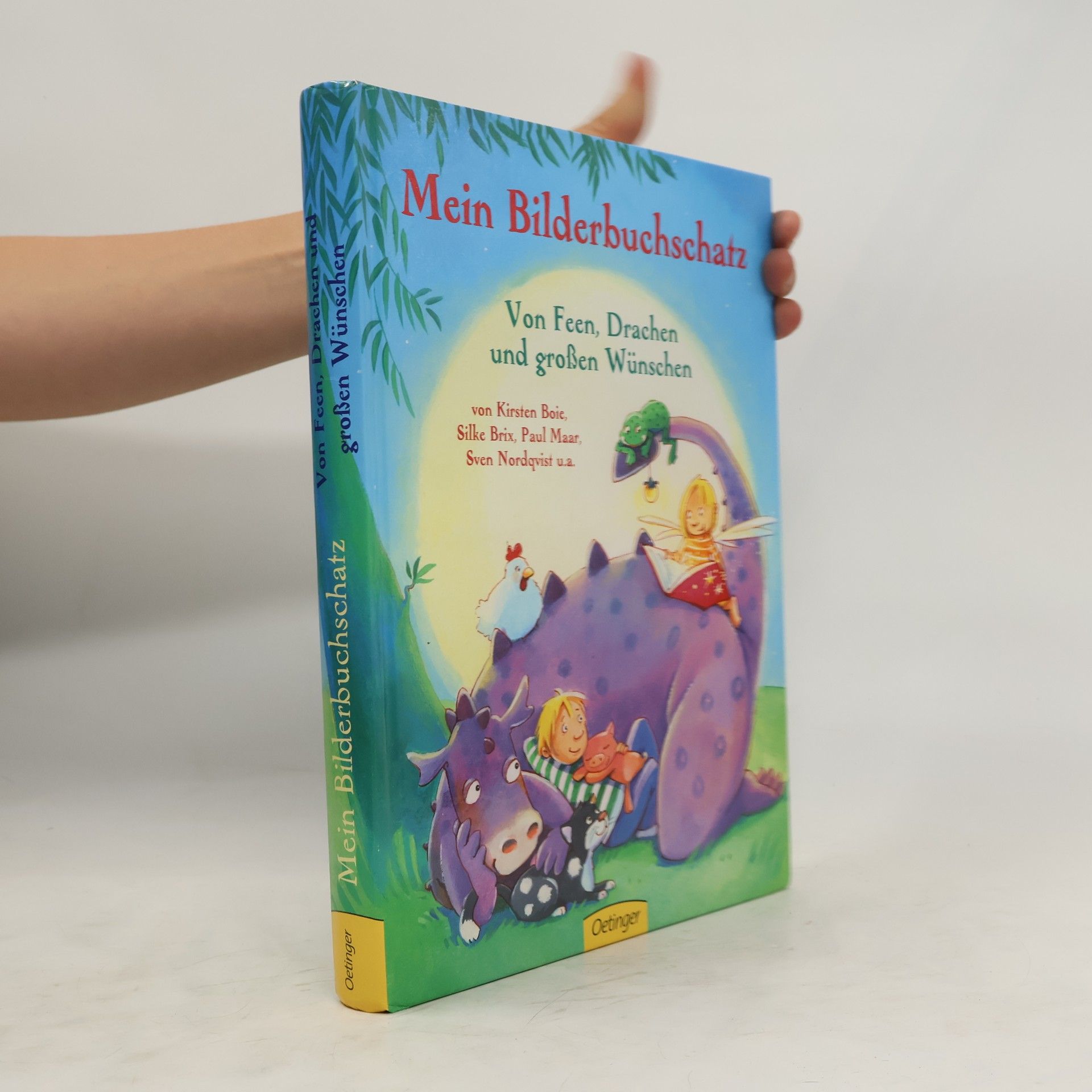 Kirsten Boie Mein Bilderbuchschatz - Von Feen, Drachen und Großen Wünschen