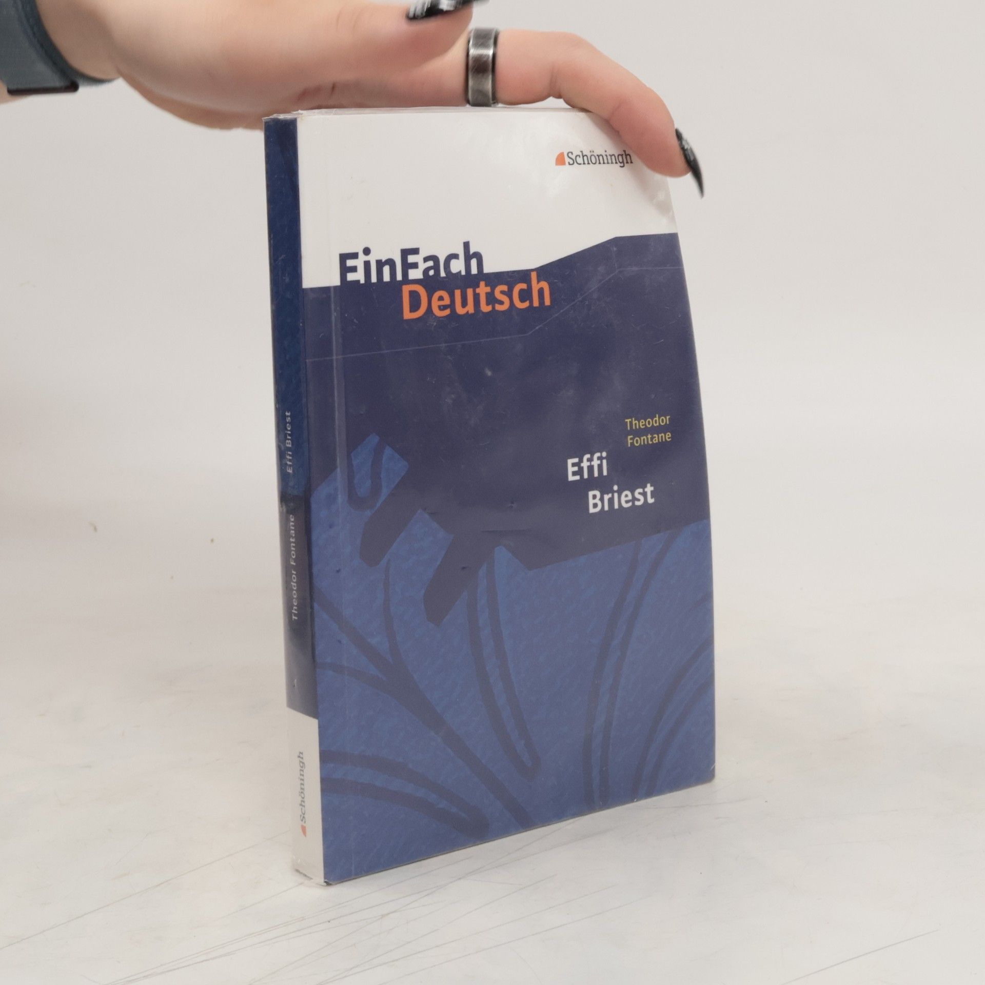 Theodor Fontane EinFach Deutsch: Theodor Fontane: Effi Briest