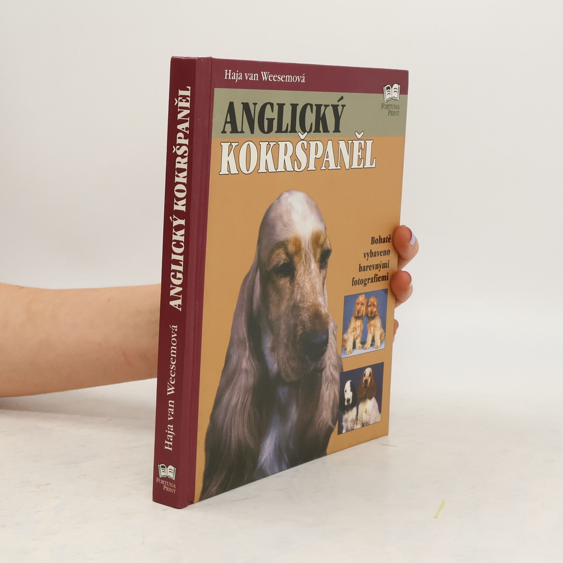 Haja van Wessem Anglický kokršpaněl