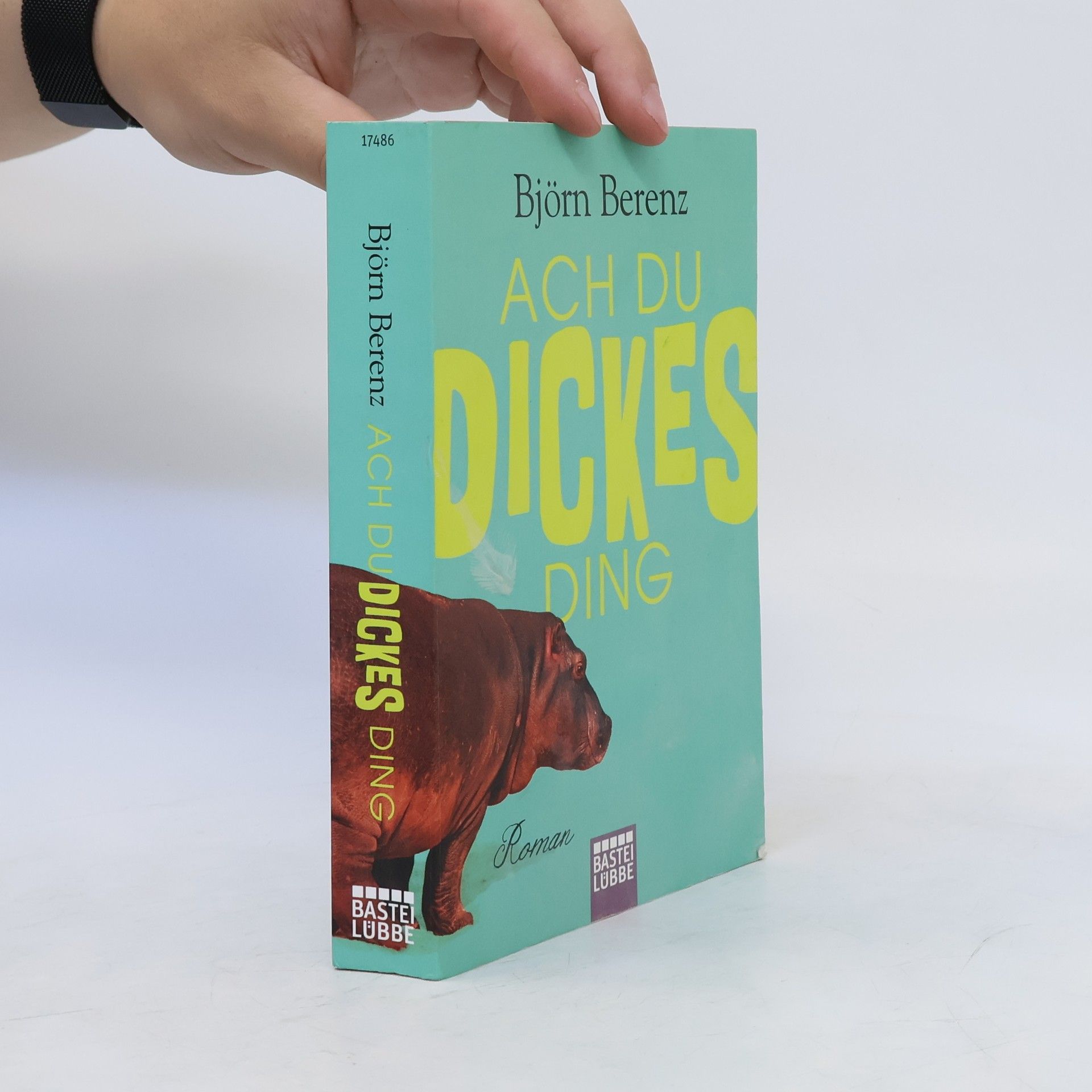 Björn Berenz Ach du dickes Ding