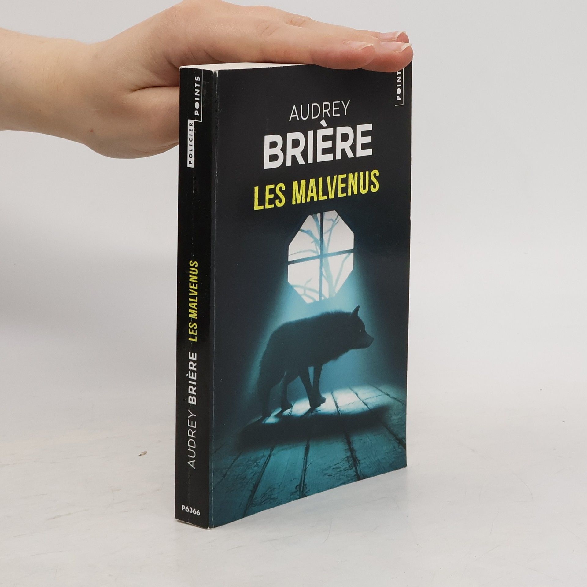 Audrey Briére Les Malvenus