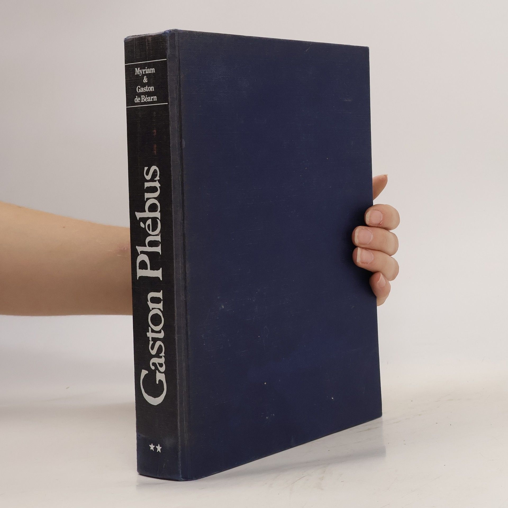 Myriam de Béarn Gaston Phébus: Les créneaux de feu