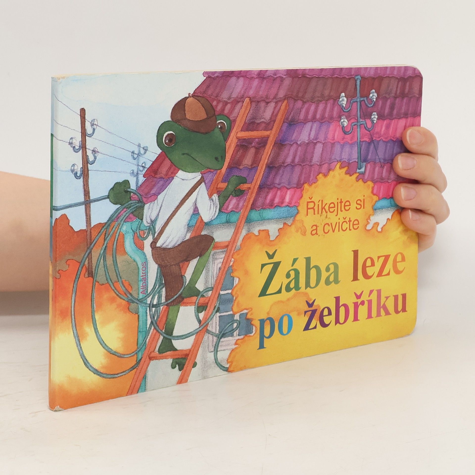 kolektiv Žába leze po žebříku