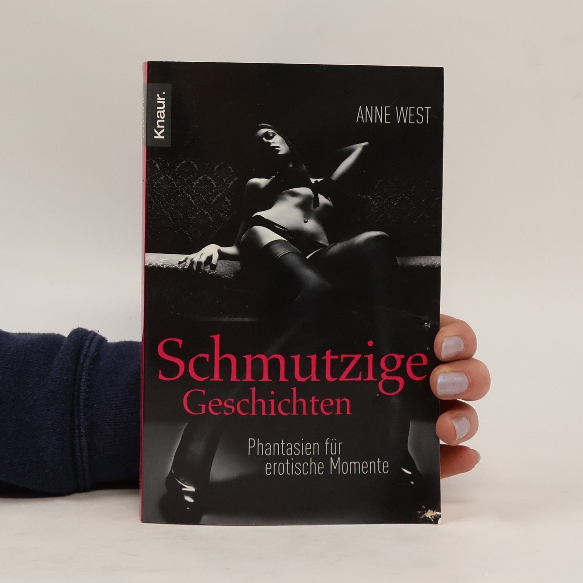Anne West Schmutzige Geschichten. Fantasien für erotische Momente