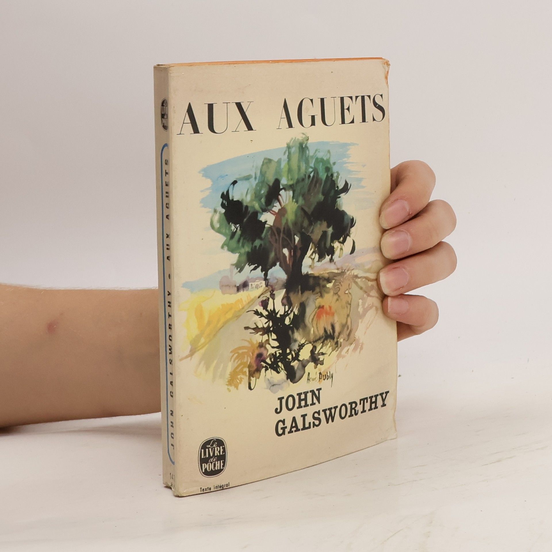 John Galsworthy Aux aguets