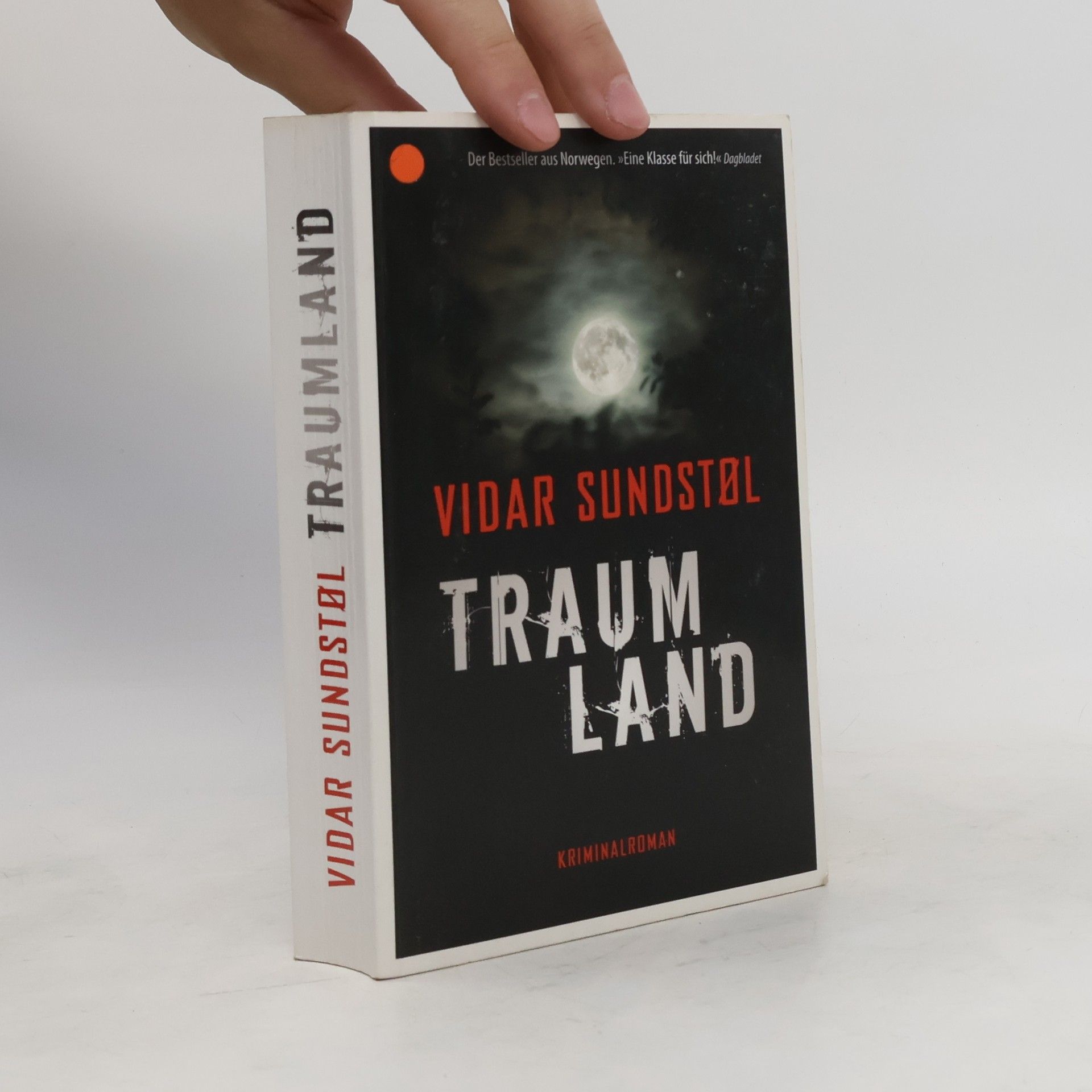 Vidar Sundstøl Traumland