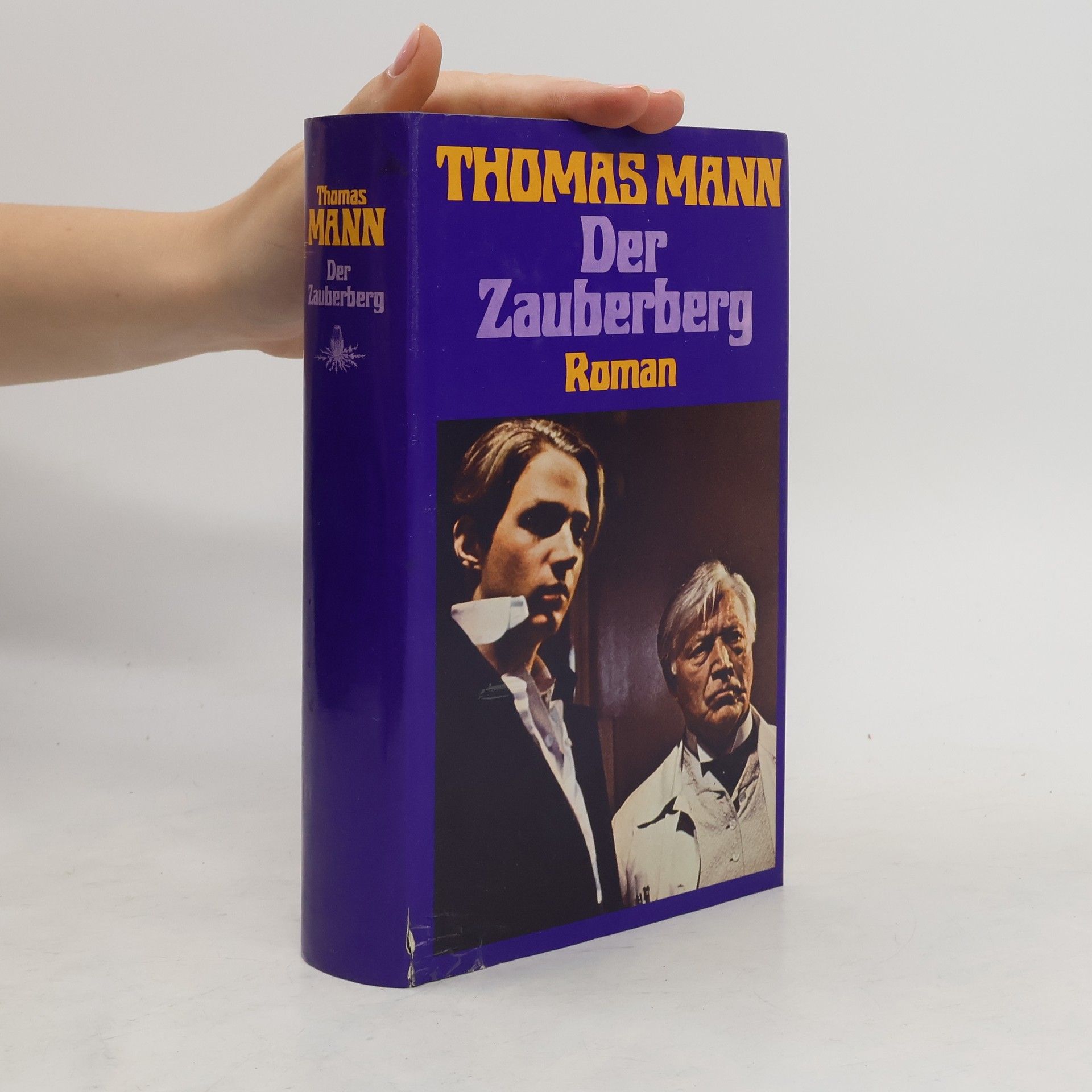 Thomas Mann Der Zauberberg
