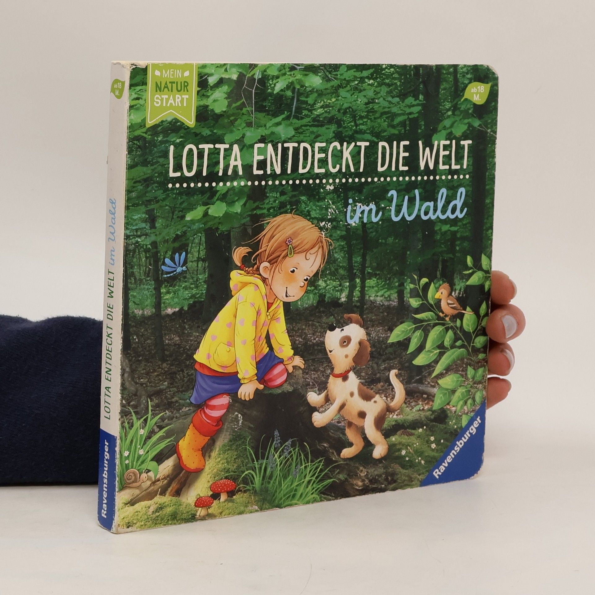 Sandra Grimm Im Wald / Lotta entdeckt die Welt Bd.1