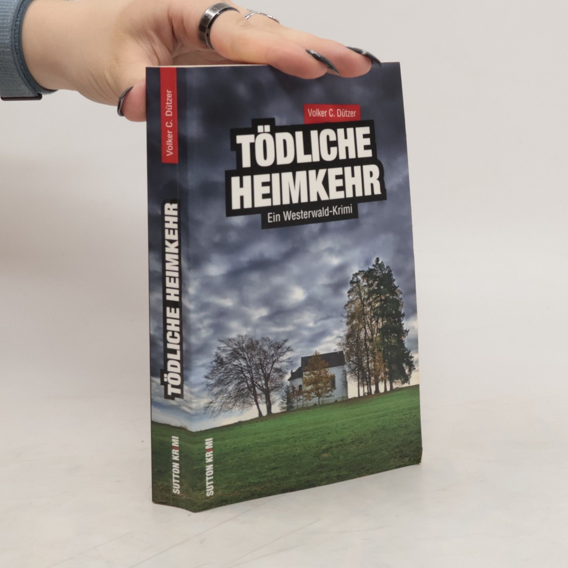Volker C. Dützer Tödliche Heimkehr