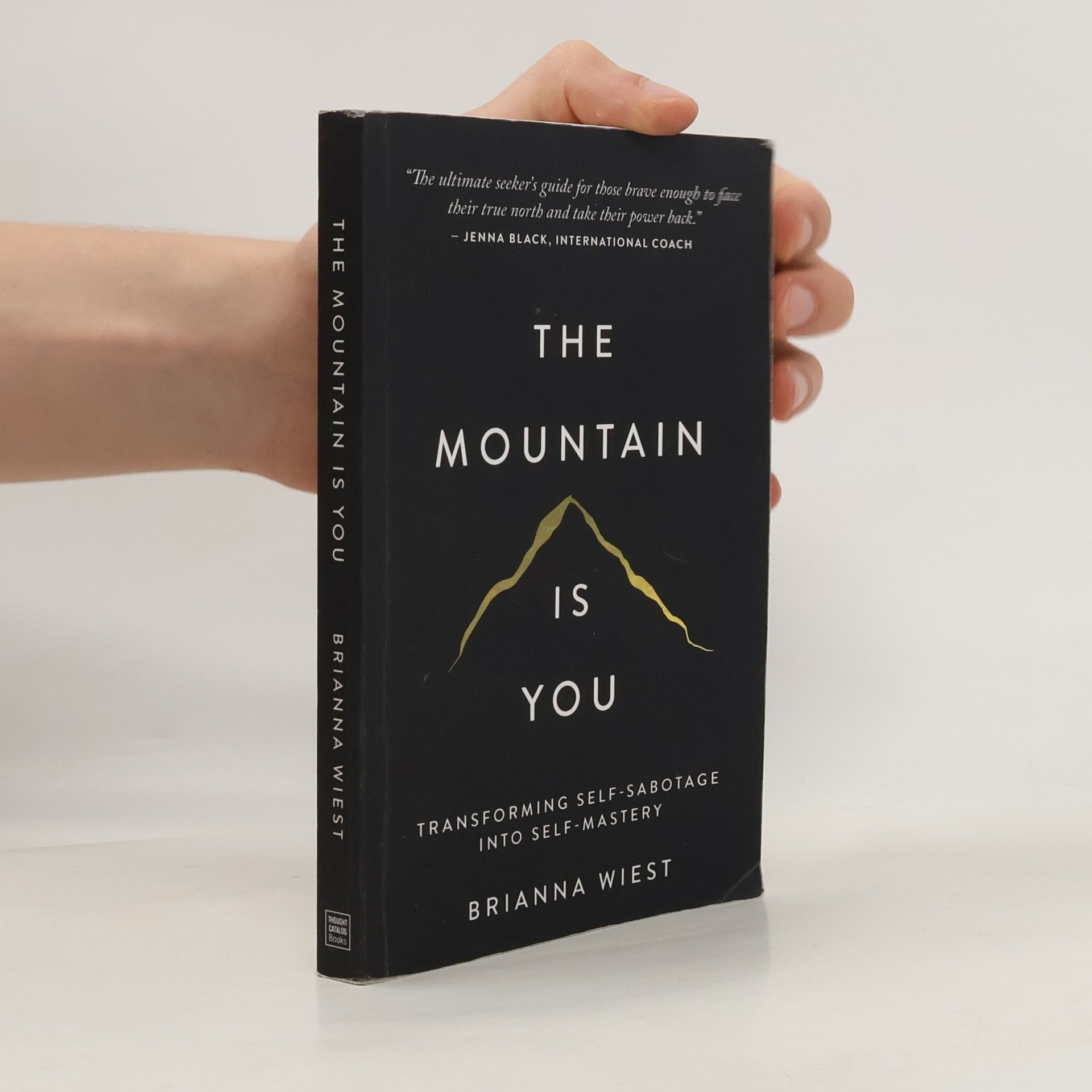Brianna Wiest The Mountain Is You