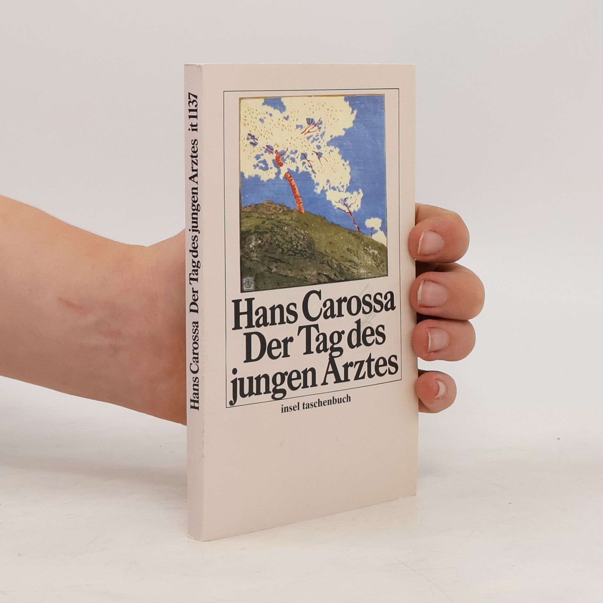 Hans Carossa Der Tag des jungen Arztes