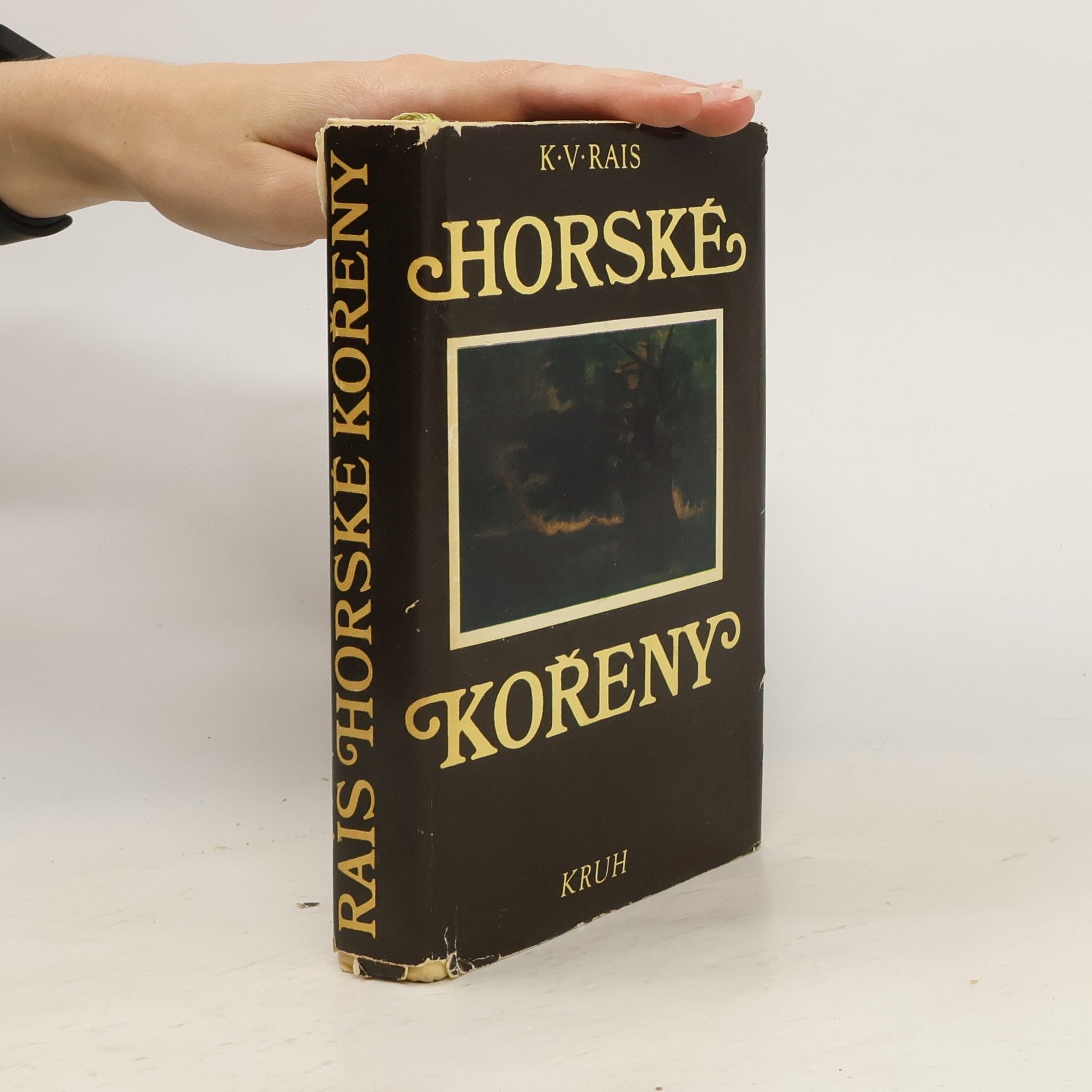 Karel Václav Rais Horské kořeny