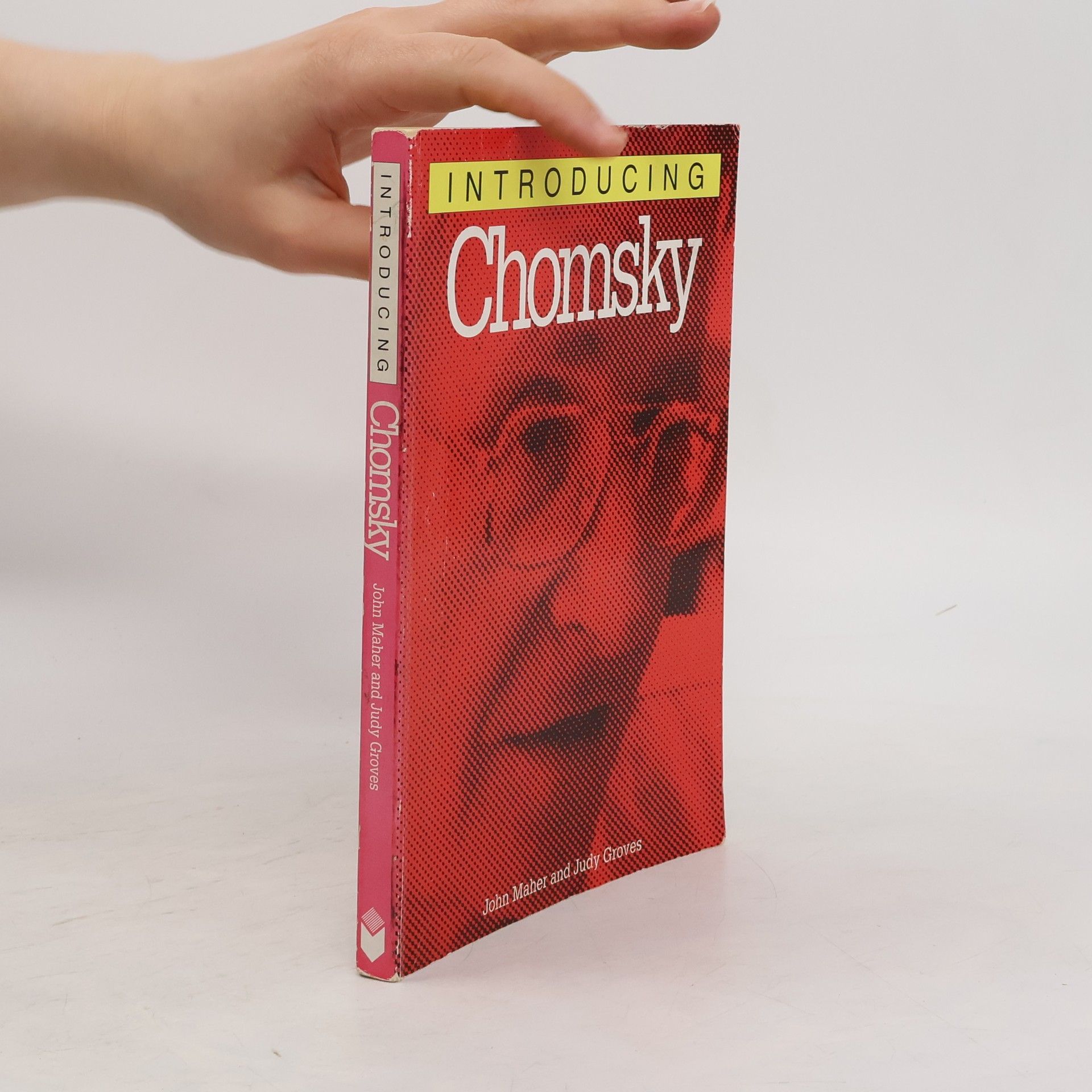 John Maher Introducing Chomsky