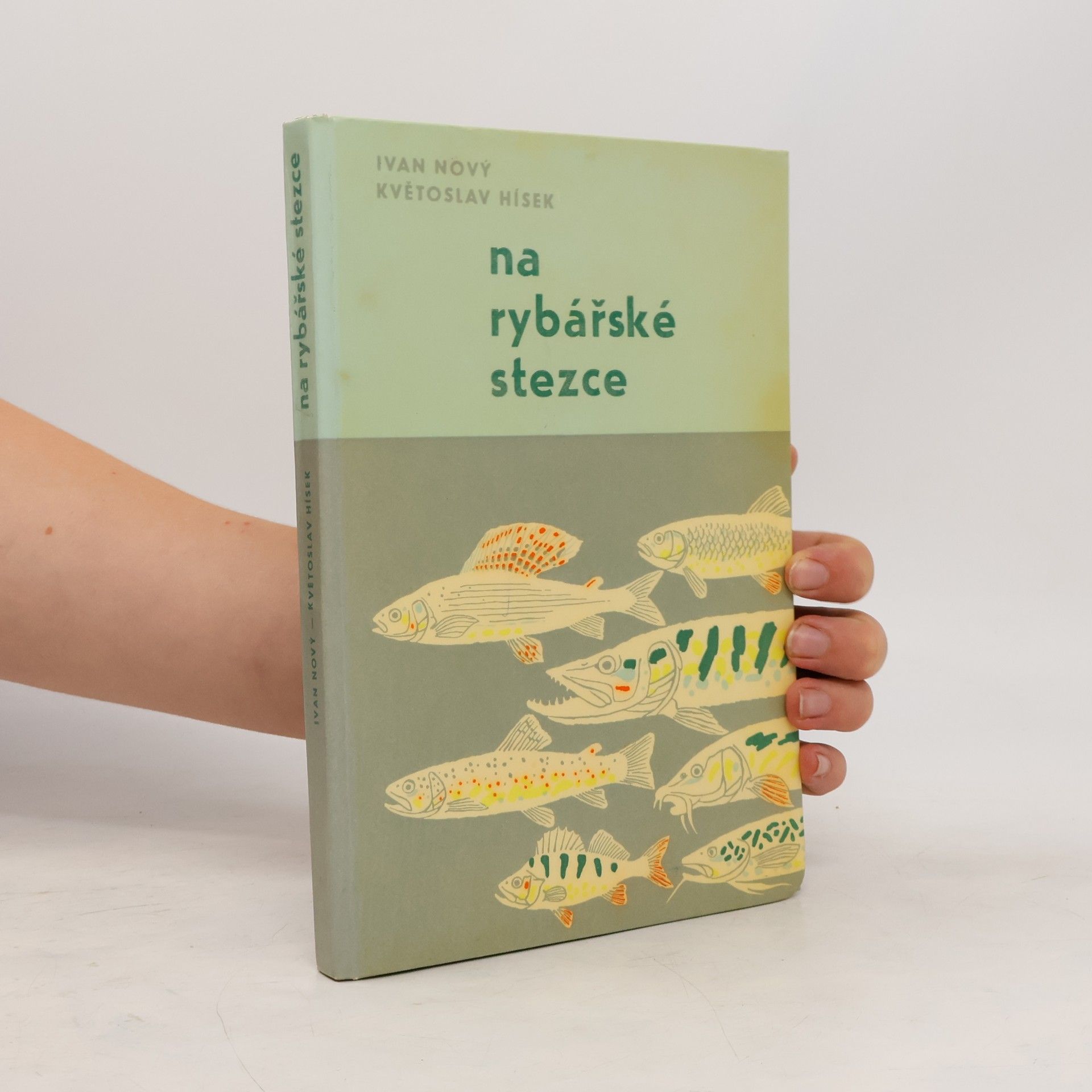 Květoslav Hísek Na rybářské stezce