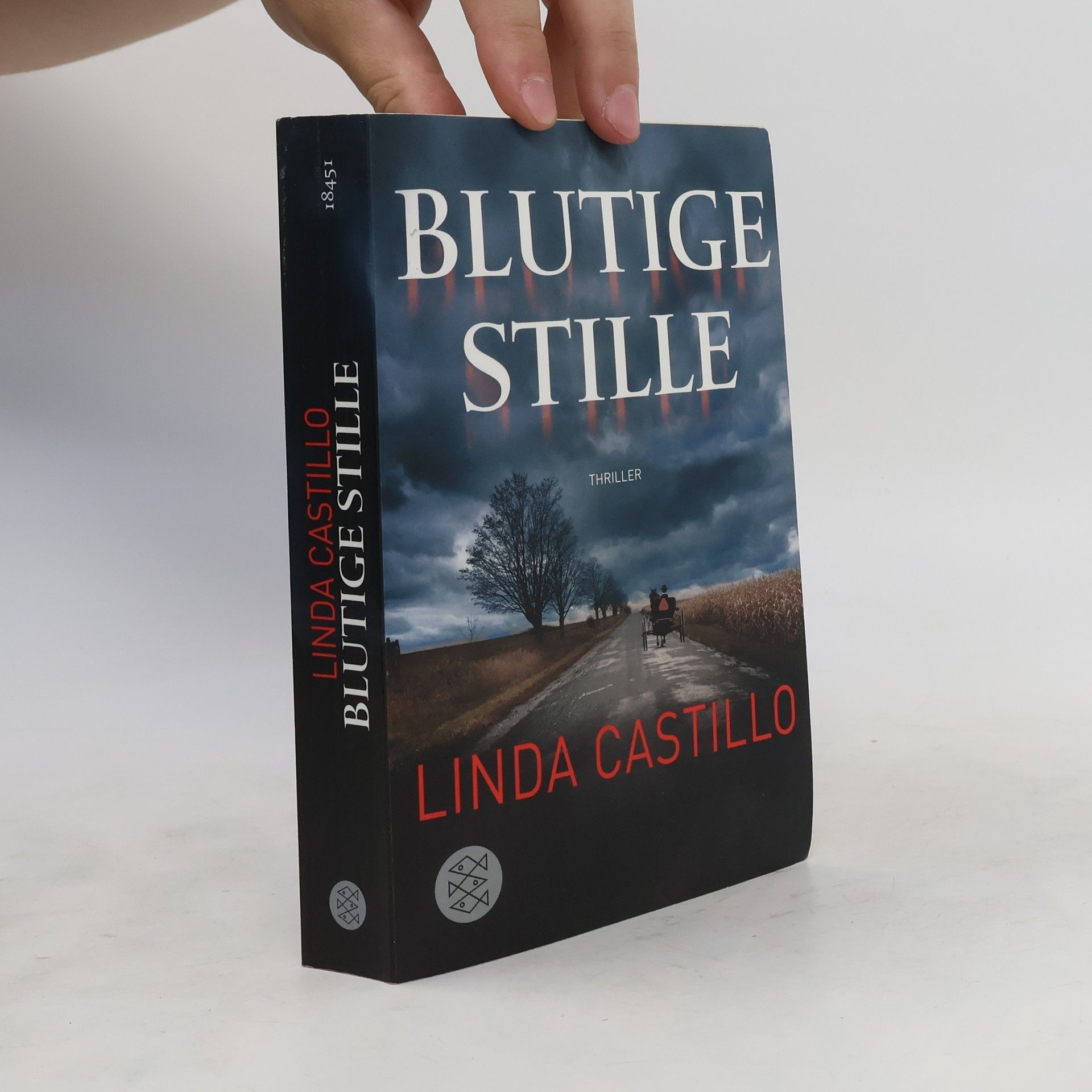 Linda Castillo Blutige Stille