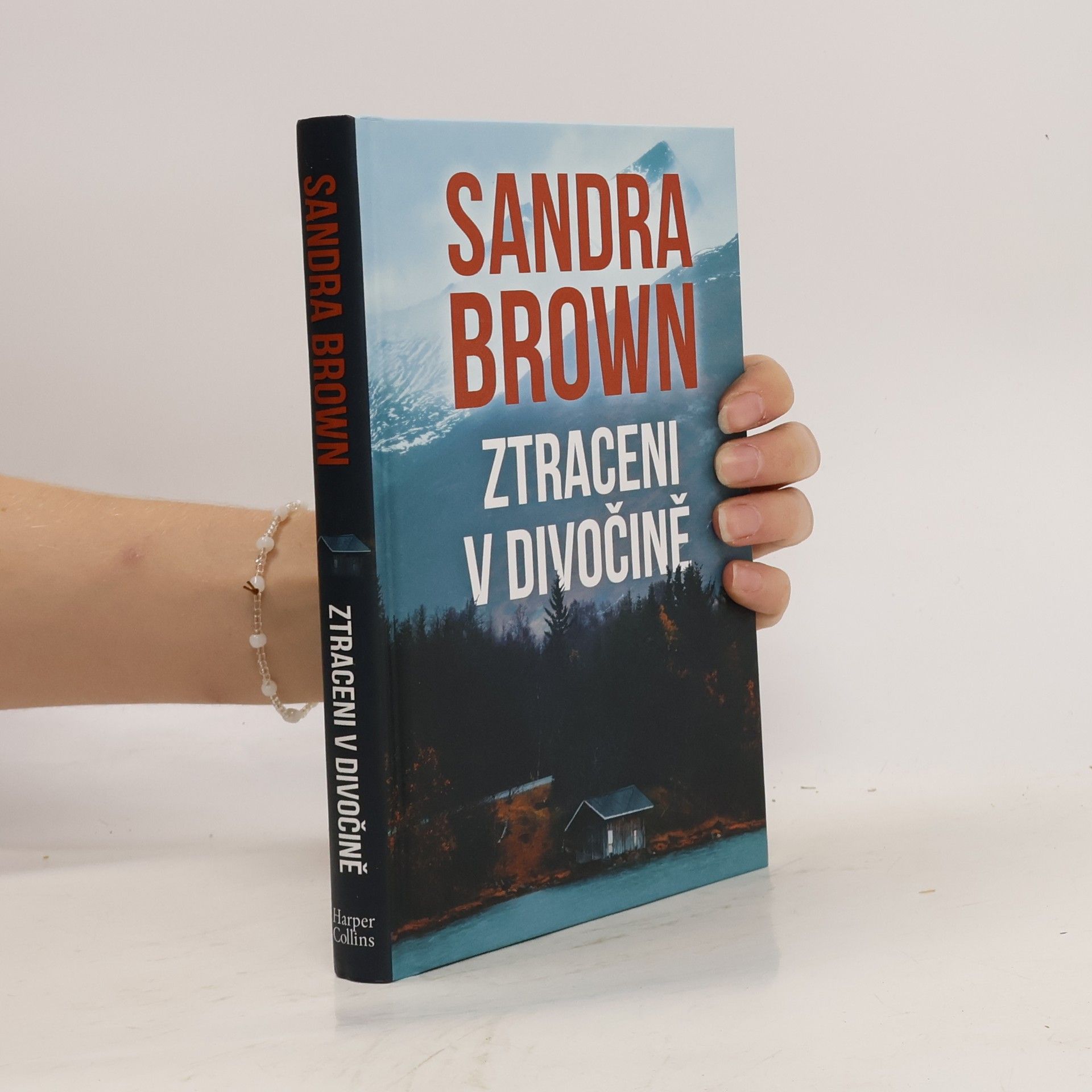 Sandra Brown Ztraceni v divočině
