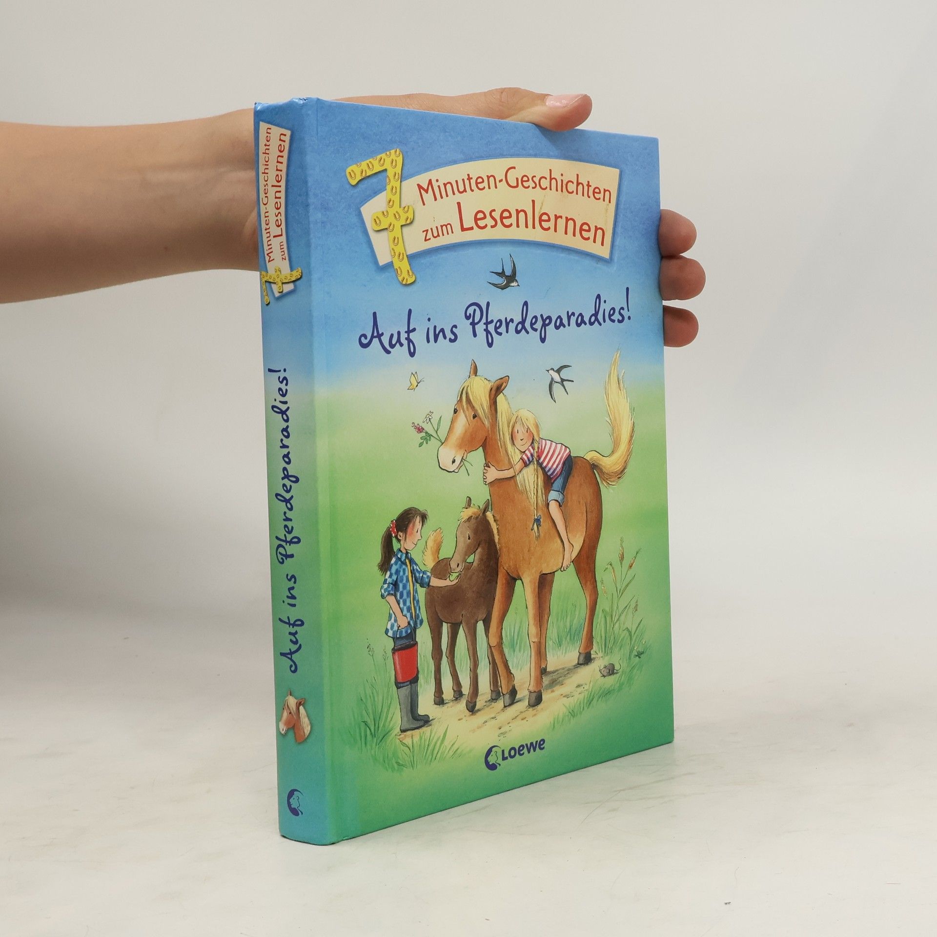 Autorenkollektiv Auf ins Pferdeparadies!