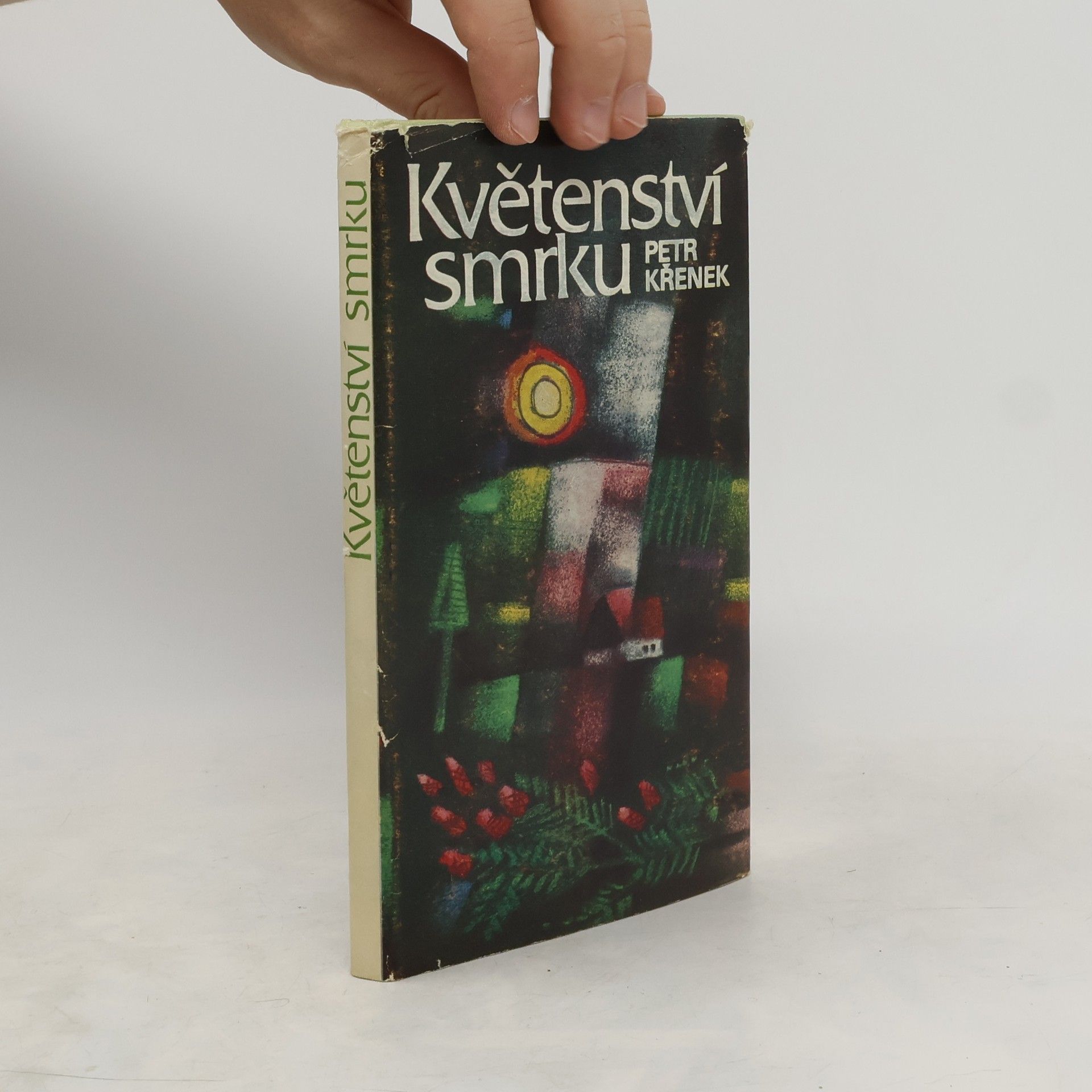 Petr Křenek Květenství smrku