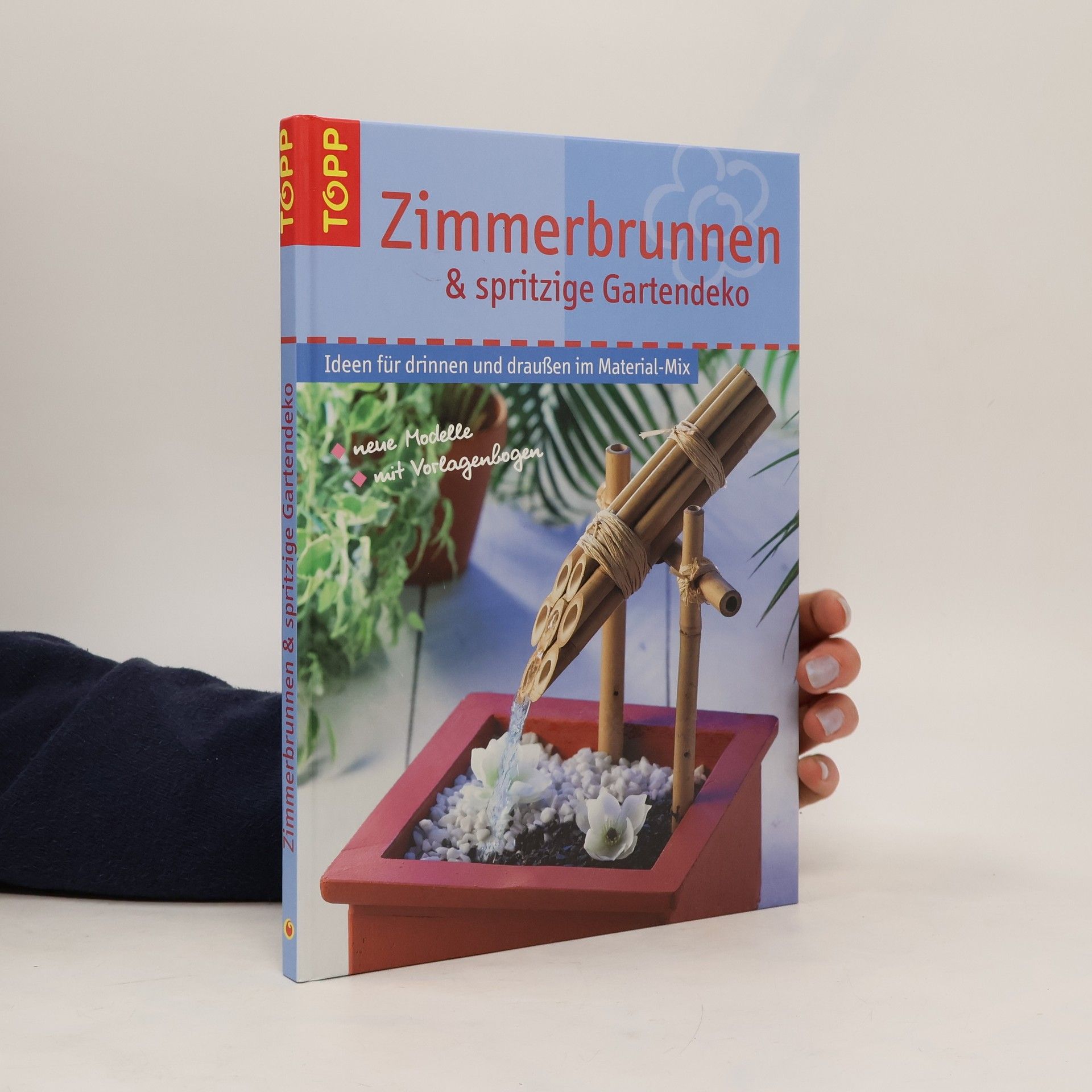 Marie-Luise Brückner Zimmerspringbrunnen und Wasserspiele. Zimmerspringbrunnen, Teiche und Wasserspiele