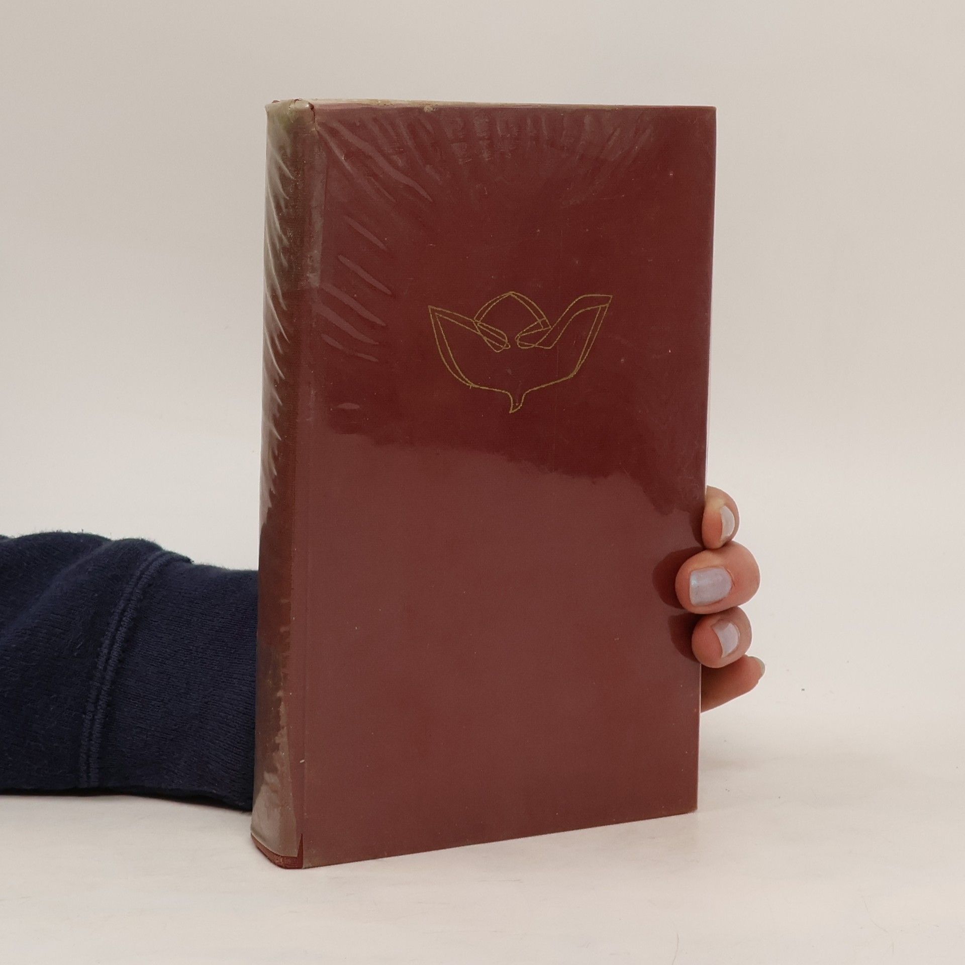 Autorenkollektiv Katholische Schulbibel