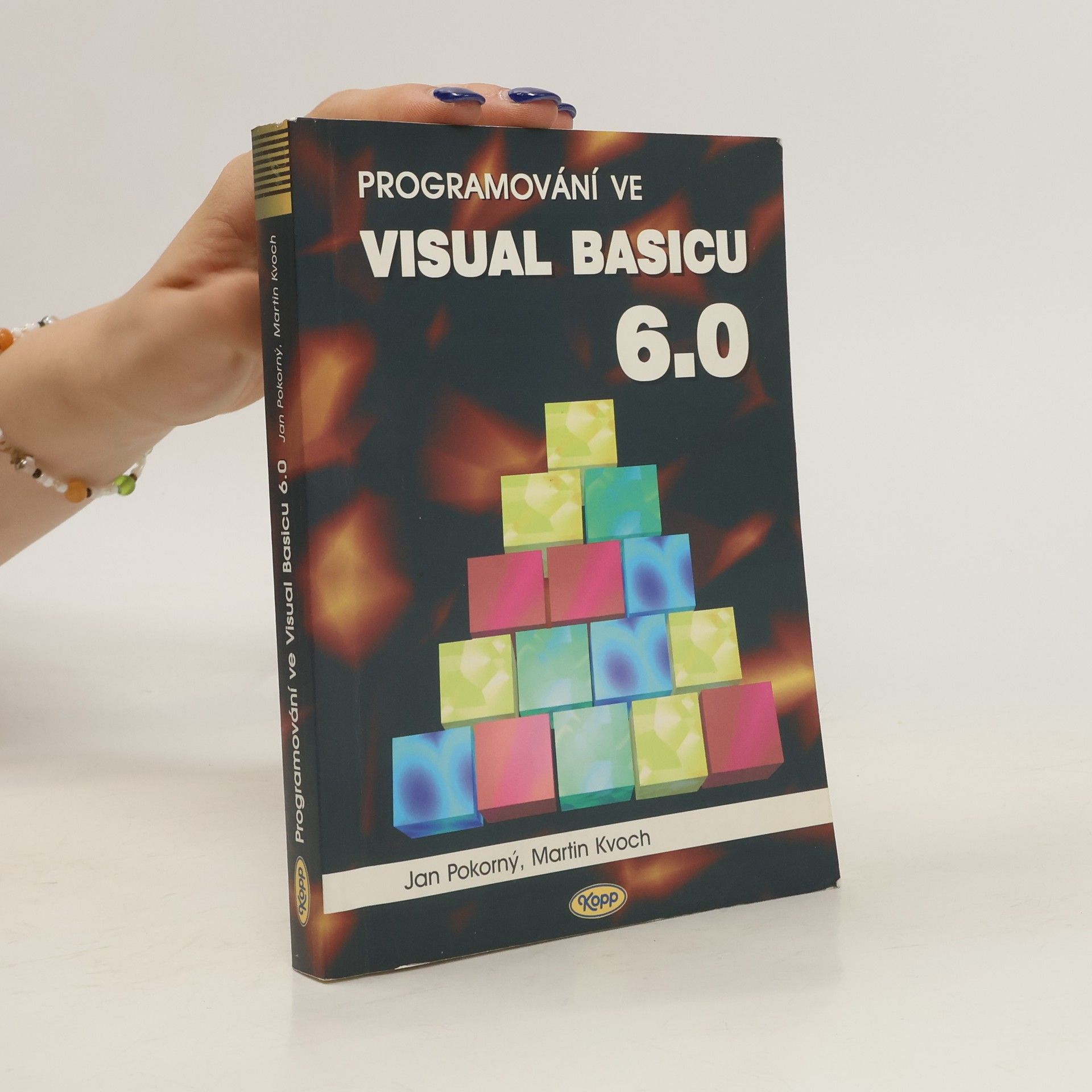Jan Pokorný Programování ve Visual Basicu 6.0