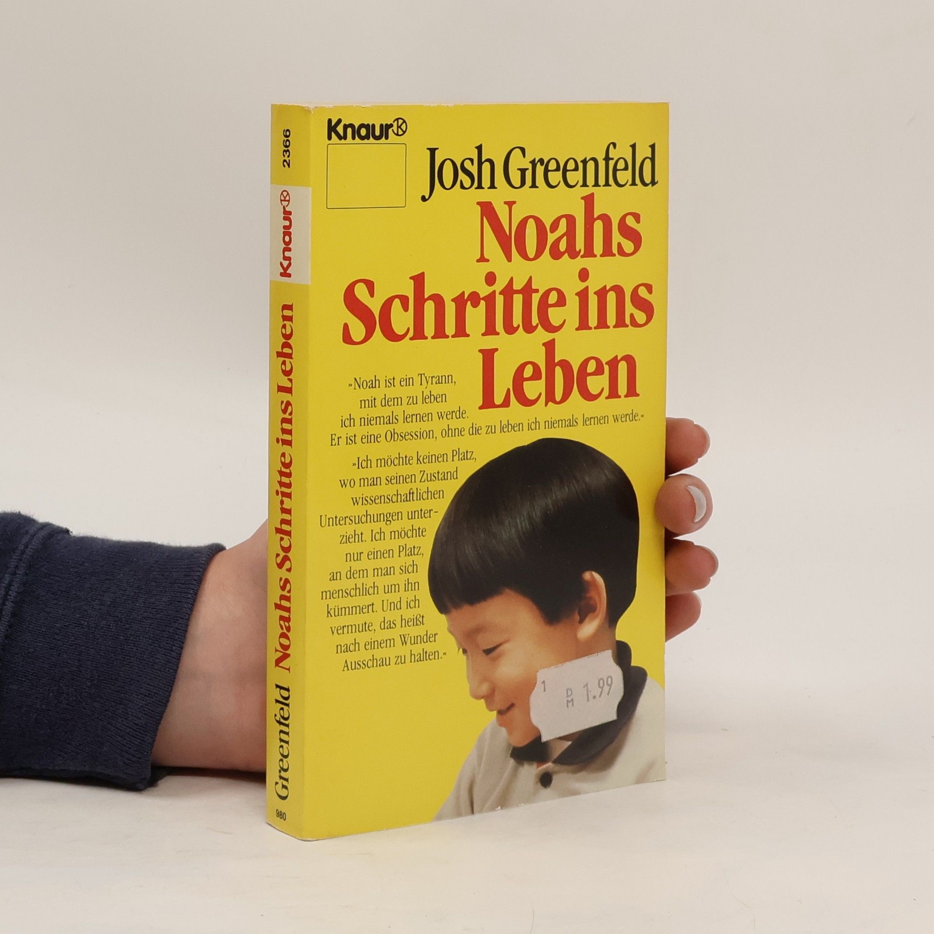 Josh Greenfeld Noah - Schritte ins Leben