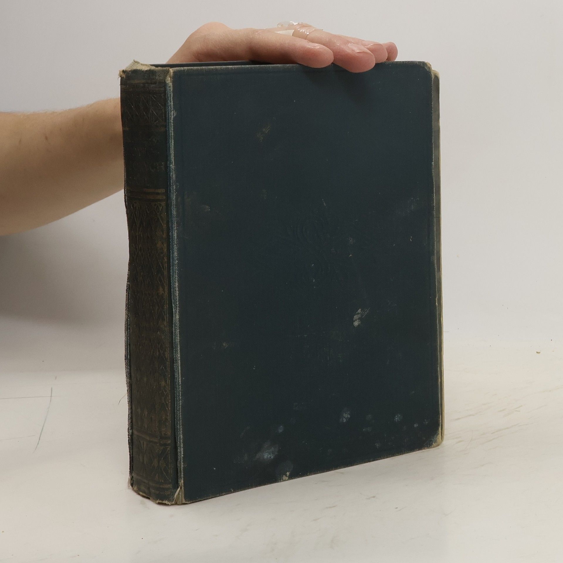 Zane Grey Lovec divokých včel