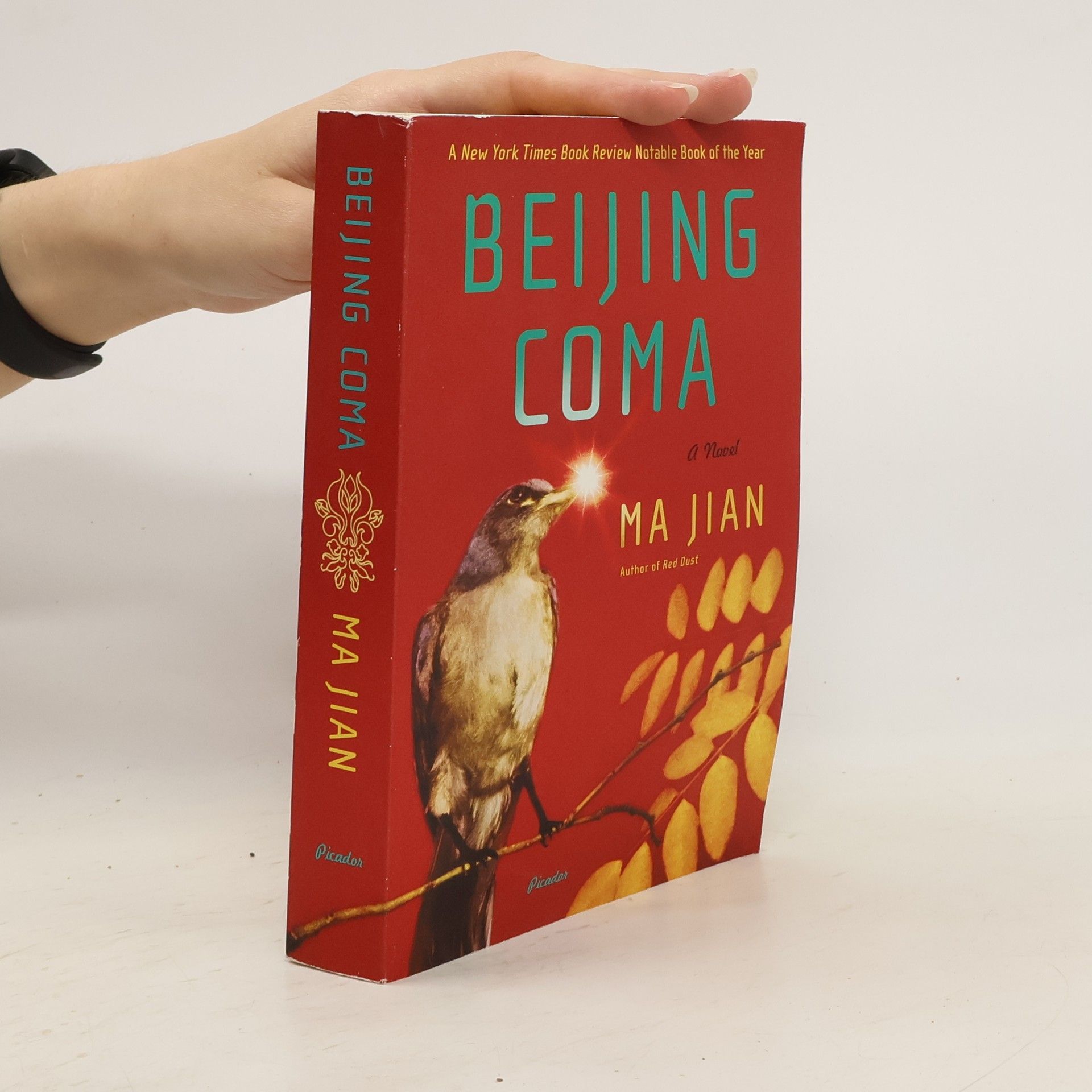 Jian Ma Beijing Coma