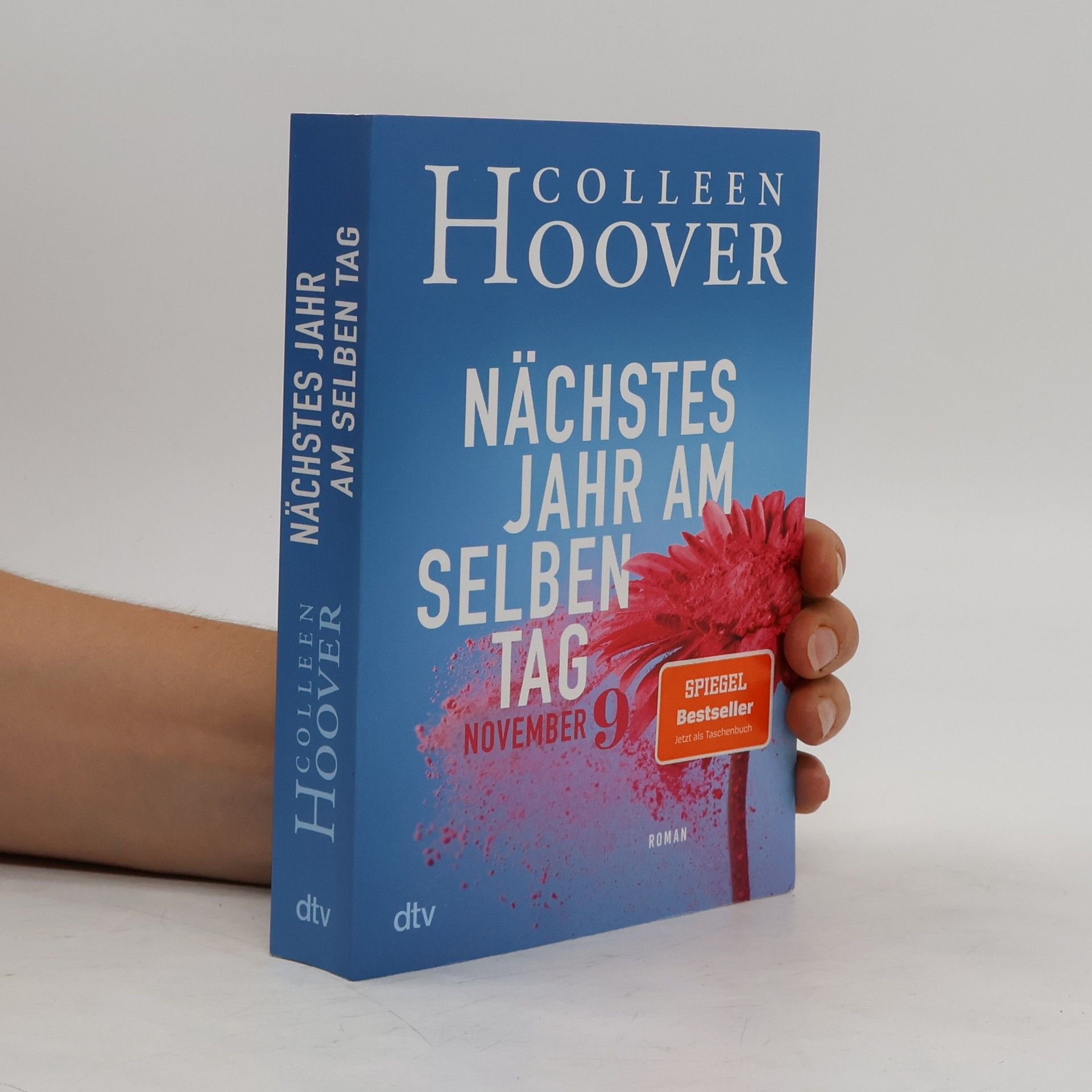 Colleen Hoover Nächstes Jahr am selben Tag