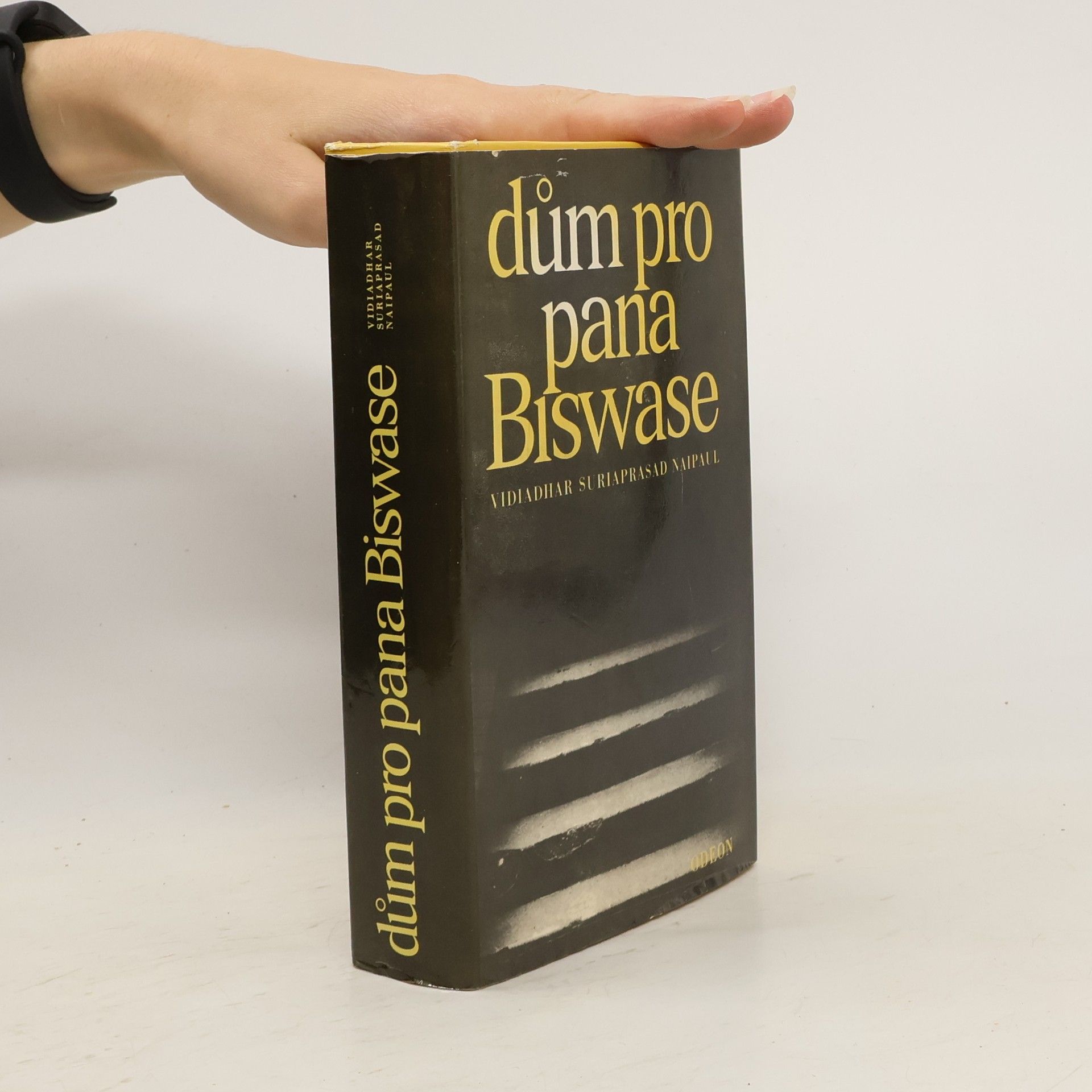 V. S. Naipaul Dům pro pana Biswase