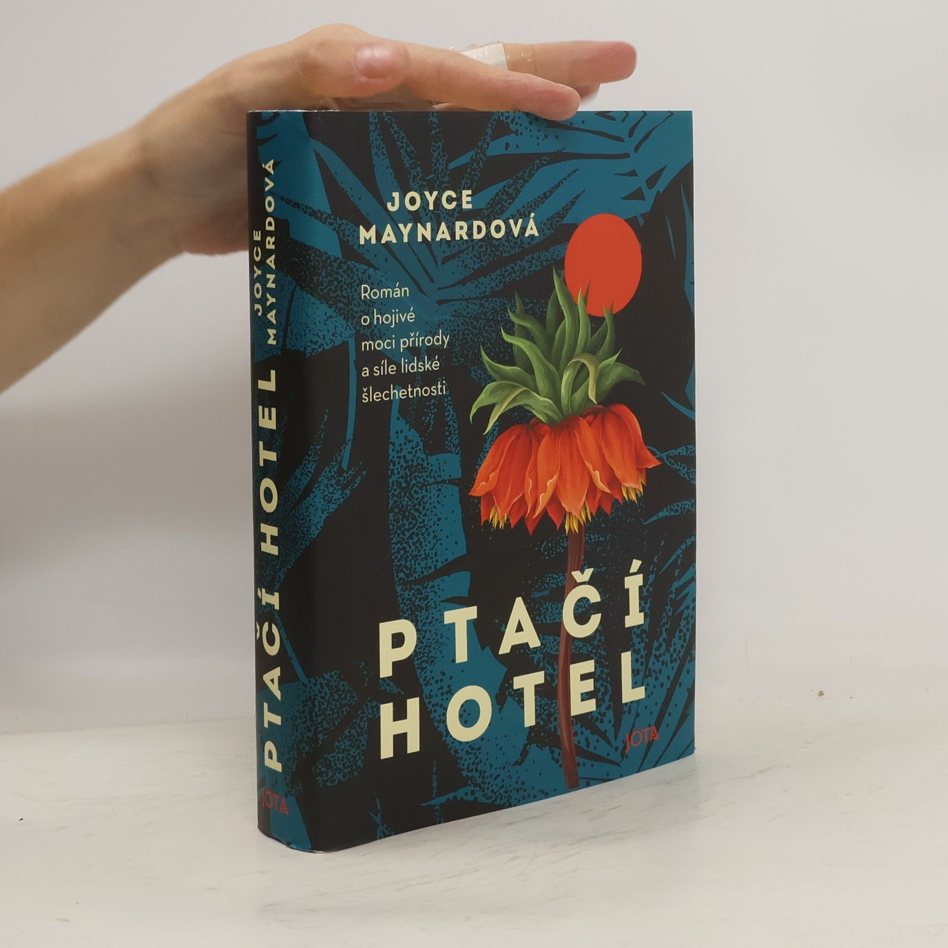 Joyce Maynard Ptačí hotel