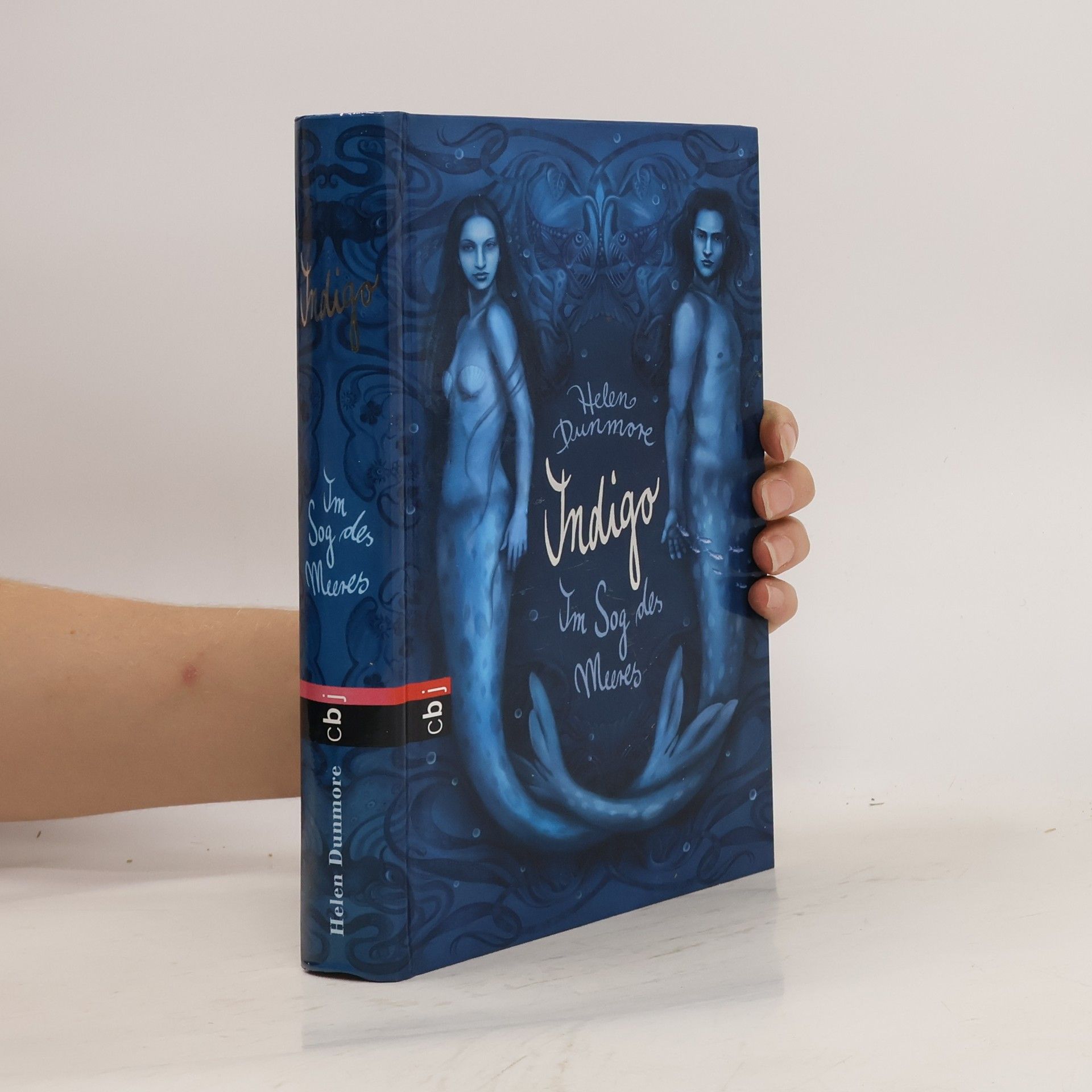 Helen Dunmore Indigo: Im Sog des Meeres