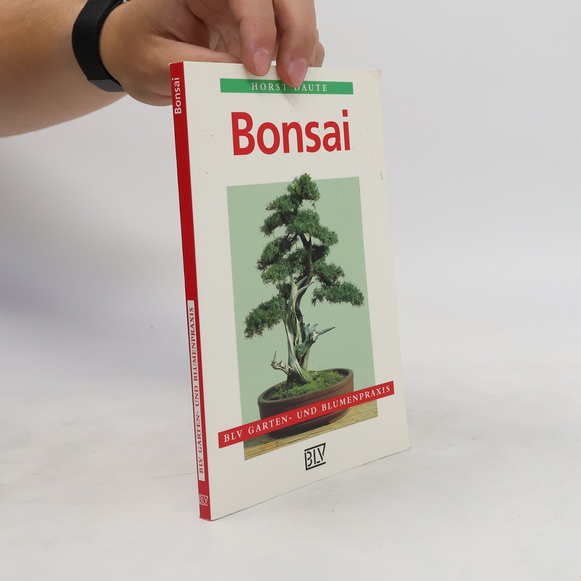 Horst Daute Bonsai